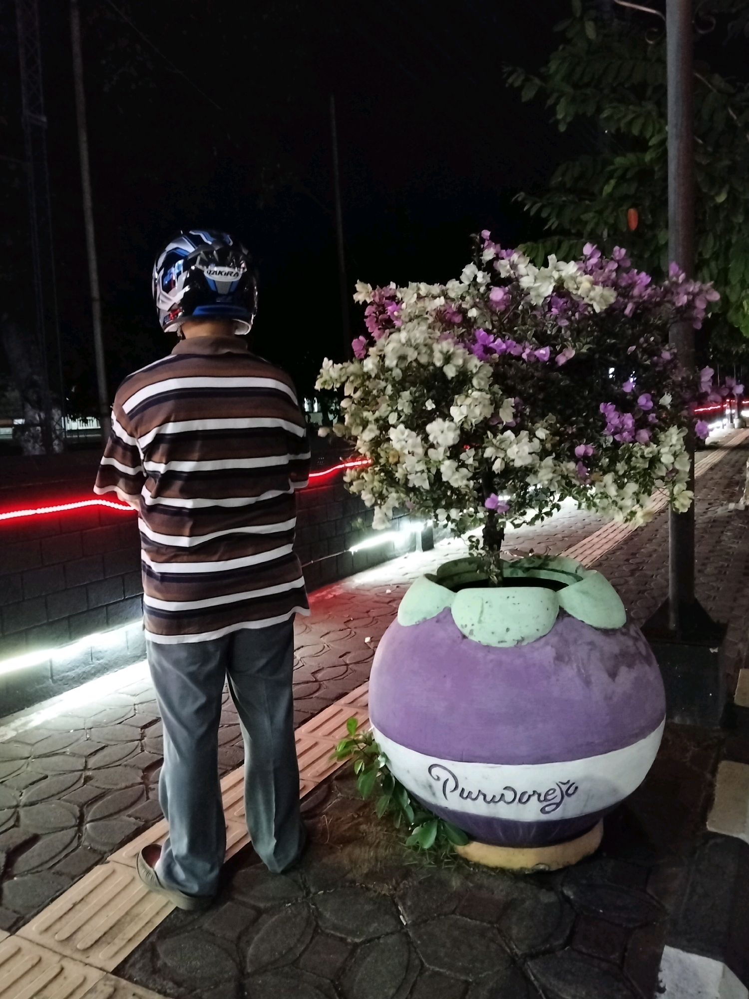 A person wearing a helmet, a striped t-shirt, and gray pants stands on a textured paved sidewalk at night. To the person's right, a large, purple pot decorated with light green leaf-like protrusions contains a tree with white and purple flowers. The pot has "Purworejo" written in cursive on it. The person is facing away from the camera, looking towards the flower pot and beyond. In the background, there are trees and buildings, with red and white lights illuminating the area.