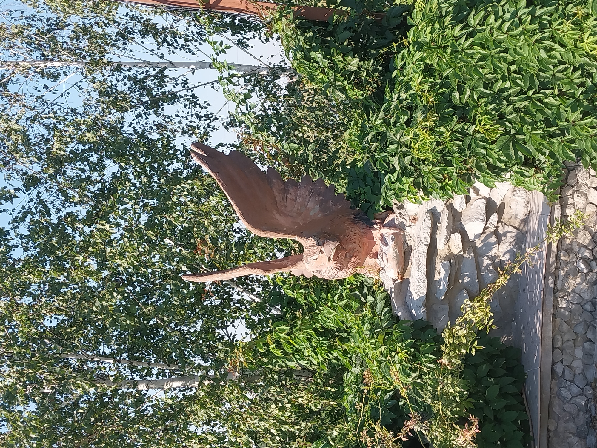 An outdoor, eye-level shot captures a statue of a bronze eagle with outstretched wings, perched atop a multi-layered stone structure. The statue is surrounded by lush green foliage and tall trees, with a clear blue sky visible above. The stone structure is composed of irregular, rough-hewn rocks of varying sizes, creating a textured and rustic base for the eagle. The lower portion of the structure is lined with smaller, more uniform stones. The statue itself is detailed, with visible feathers on the wings and a determined expression on the eagle's face. The surrounding vegetation is dense and appears to be a mix of bushes and vines, with some branches extending into the frame from the left and right. The sunlight casts shadows on the stone structure and foliage, indicating a bright, sunny day. The scene is serene and natural, with the man-made statue blending into the organic environment. This scene is located in the city of Petrykivka, Ukraine.
