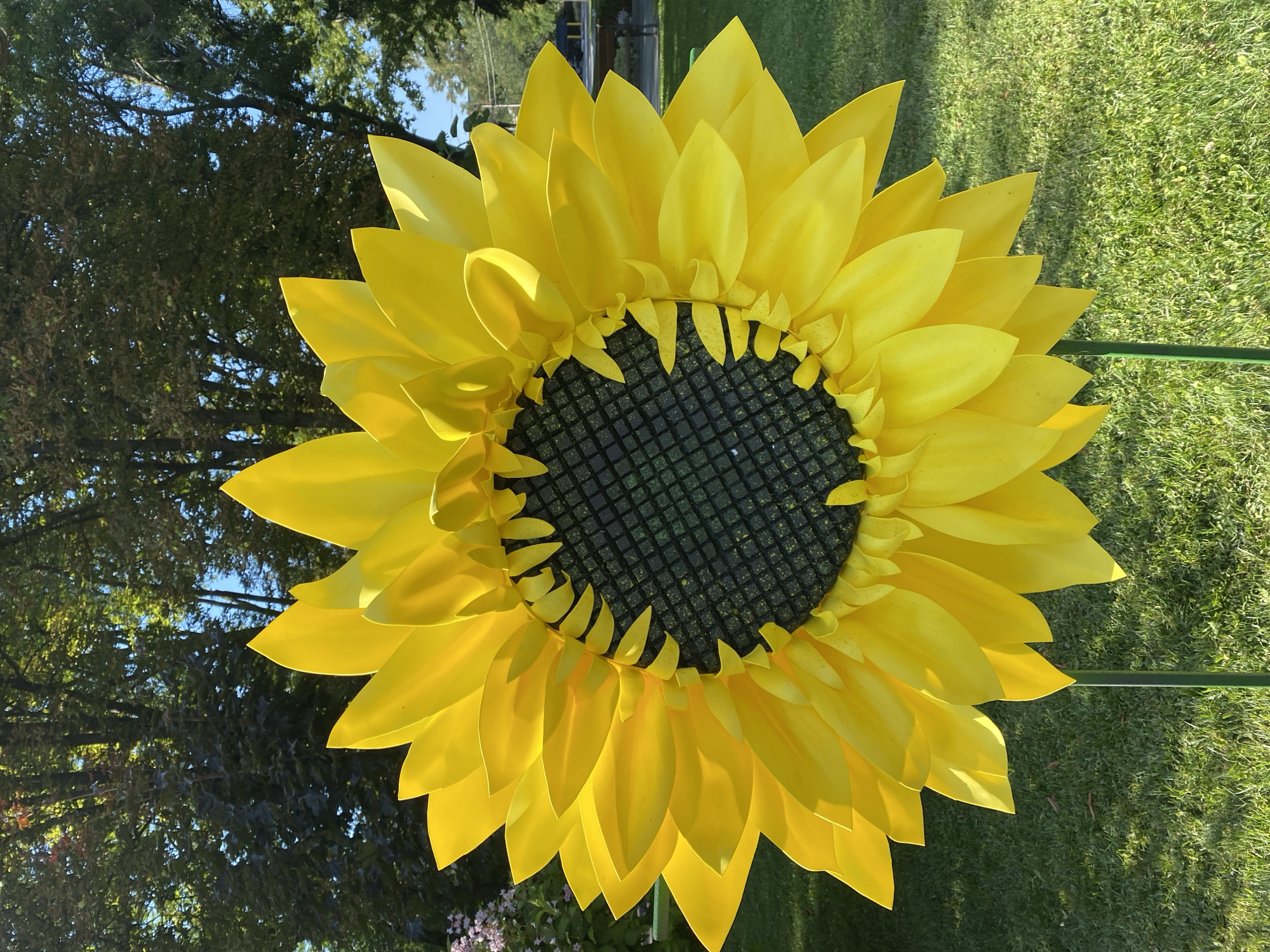 A large, bright yellow sunflower sculpture stands on a manicured green lawn. The sculpture has a textured, dark center and numerous large, pointed petals that fan outwards. Two thin green poles support the sunflower from beneath, extending into the grass. In the background, lush green trees with dark foliage create a dense canopy against a clear blue sky. A small cluster of light pink flowers is visible to the left of the sunflower. The scene appears to be an outdoor park or garden area, possibly a public space in Kremenchuk, Ukraine.