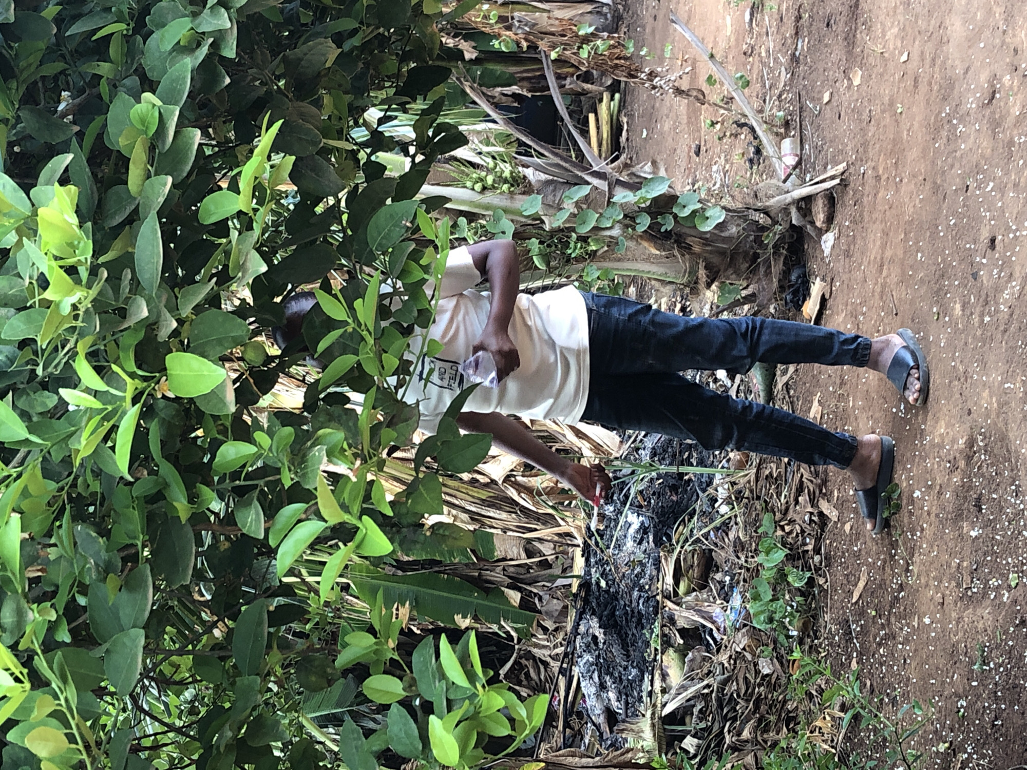 A man is standing near a leafy plant. He is wearing a white t-shirt and black jeans. He has black sandals on his feet. He is holding a water bottle in his left hand. The ground is dirt and there are burnt items around him.