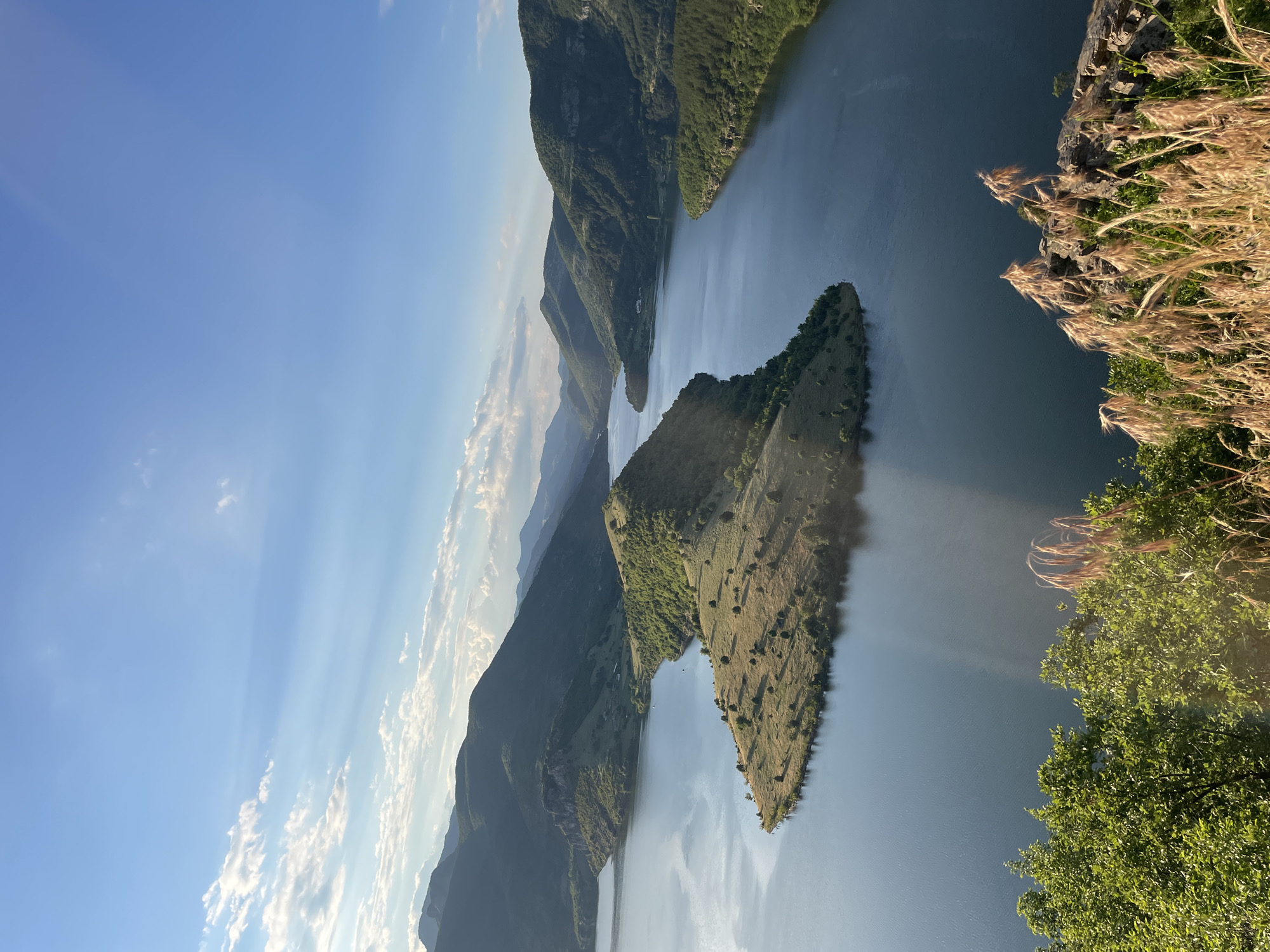 The image depicts a wide, elevated view of the Ribartsi Reservoir in Ribartsi, Bulgaria. The reservoir's dark blue water stretches out, winding between lush green, tree-covered hills and mountains under a clear blue sky with scattered white clouds. A prominent, triangular-shaped peninsula covered in dry grass and scattered trees juts out into the reservoir from the left. The sun casts rays of light through the clouds and illuminates the landscape, creating a serene and natural scene. In the foreground, the tops of green trees and tall, dry grasses are visible, framing the view of the water and the surrounding mountainous terrain. No people or man-made structures are clearly visible, emphasizing the natural beauty of the location.