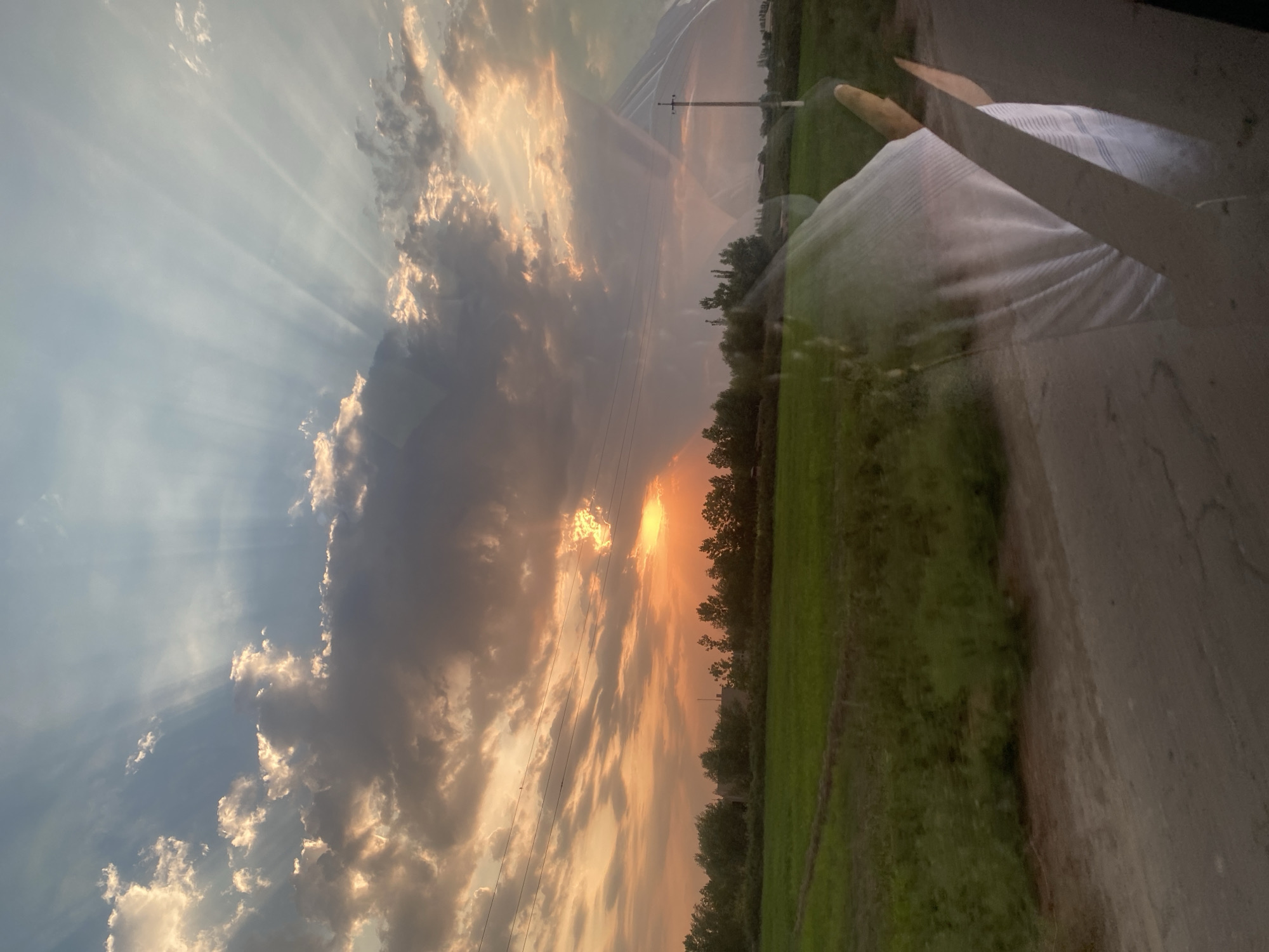 The image depicts a sunset over a rural landscape, likely near Budyonniy sovxoz, Uzbekistan. The sky is filled with dramatic clouds, with the sun's rays piercing through, creating a celestial display. Below the sky, a band of trees marks the horizon, separating the sky from a vibrant green field. A dirt road or path runs along the bottom of the image, with some vegetation on its edge. In the foreground, a reflection on a surface, possibly a window, shows a person wearing a white garment and holding what appears to be bread. The overall scene evokes a sense of twilight tranquility in a pastoral setting.