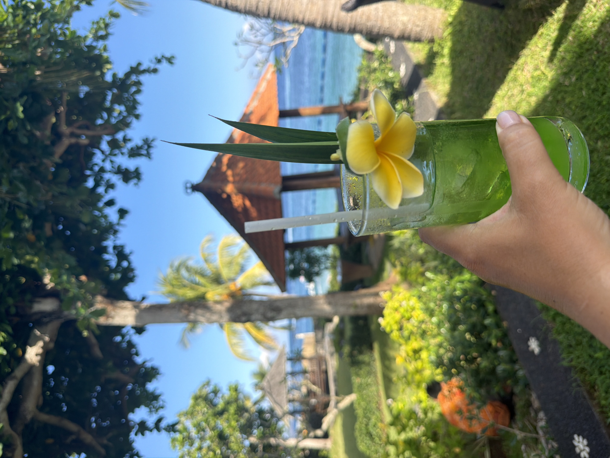 A hand holds a glass of green beverage garnished with a yellow flower and palm leaves, with a tropical resort setting in the background. The resort, located in Manggis, Indonesia, features lush green lawns, palm trees, and thatched-roof gazebos. In the distance, the turquoise ocean stretches to the horizon under a clear blue sky. A person in an orange shirt is visible tending to the garden in the mid-ground. The scene evokes a sense of relaxation and tropical paradise.