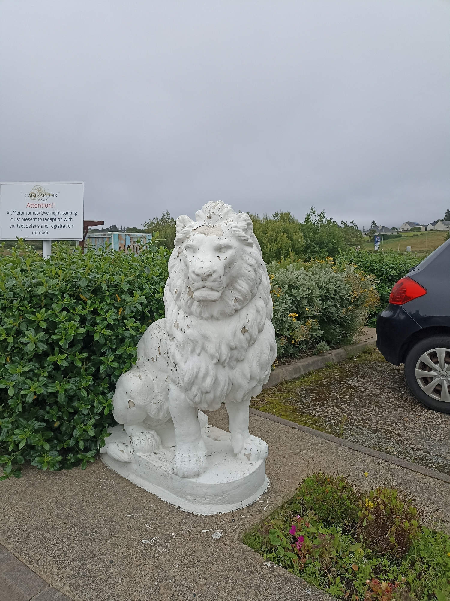 The image depicts an outdoor scene at the Caislean Oir Hotel in Annagry West, Ireland, under an overcast sky. In the foreground, a weathered, white statue of a seated lion is positioned on a concrete base. To the left of the statue is a well-maintained green hedge. Behind the hedge, a white sign with text is visible. Further back, there are more green bushes and trees. To the right of the lion statue, a portion of a dark-colored car is parked on a gravel surface, next to a paved area. The background shows a residential area with houses on a hillside, and more greenery. A small flowerbed with pink and yellow flowers is located in the lower right corner of the image.