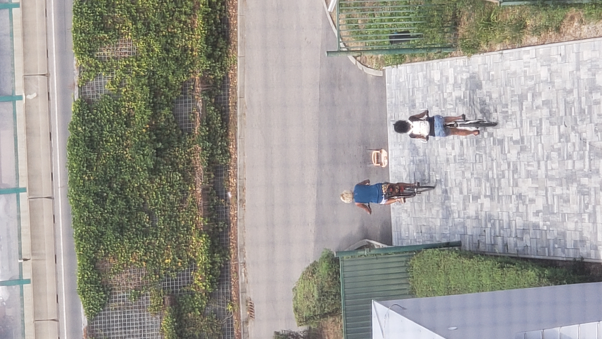 Two individuals are depicted cycling on a paved walkway in what appears to be an urban setting. The walkway is constructed from rectangular grey pavers. In the foreground, a person with dark curly hair is riding a bicycle, wearing a white backpack and blue denim shorts. Behind them, a person with blonde hair is also on a bicycle, wearing a blue tank top and white shorts, with a red bag attached to the rear of their bicycle. Between the two cyclists, a small orange and white object, possibly a piece of equipment, is situated on the asphalt road adjacent to the walkway. The background features a road lined with green hedges and a retaining wall covered in dense green foliage, with a metal grid structure visible behind the plants. Overhead, a concrete barrier and a green railing suggest the proximity of a higher elevated road or structure, possibly a highway overpass. The scene is observed from an elevated vantage point, looking down.