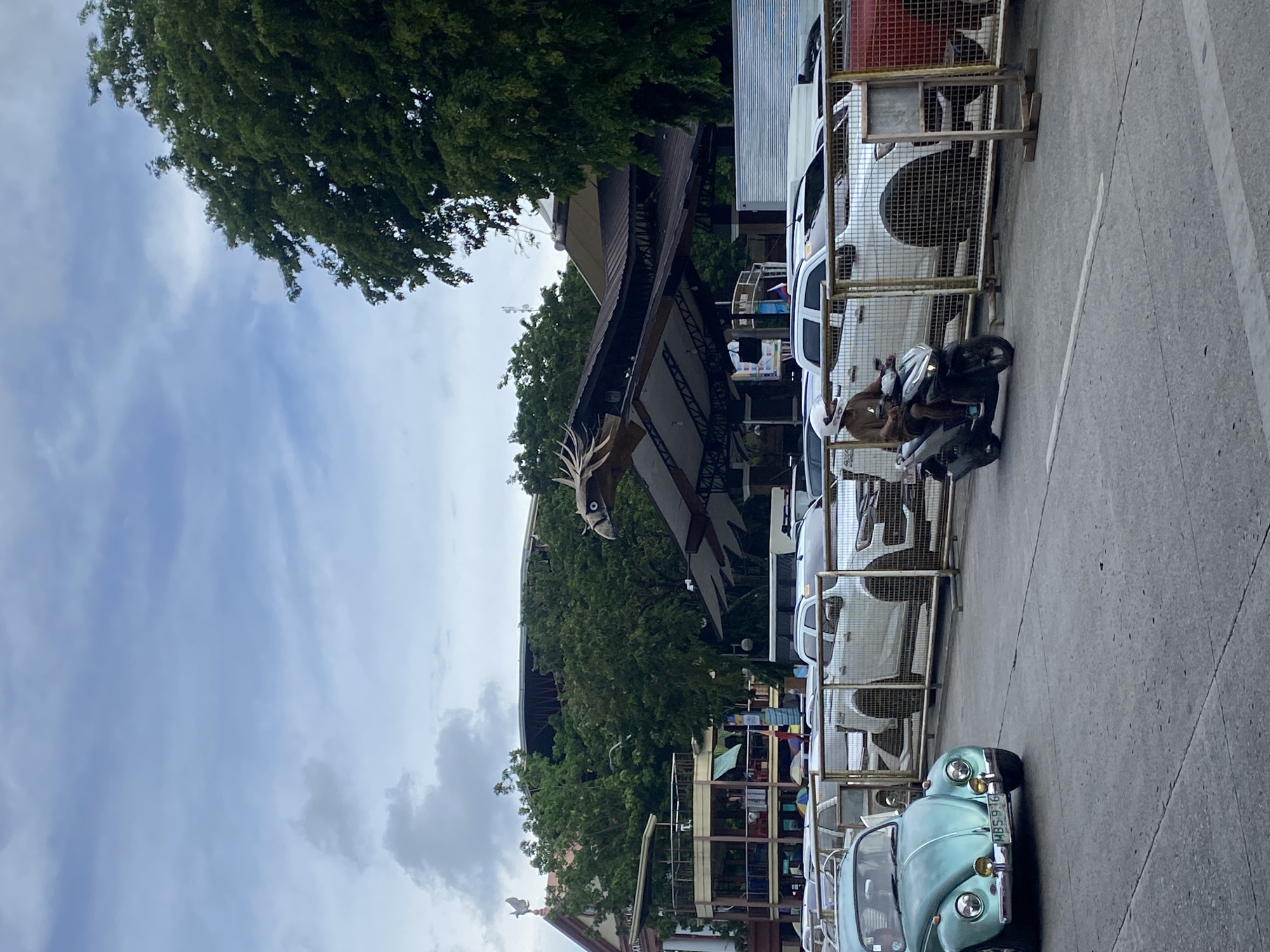 This image, taken in Davao City, Philippines, captures a street scene with parked vehicles and a building structure. A light blue Volkswagen Beetle is prominently featured in the foreground, its license plate reading "MBS 916". Behind it, a line of white vehicles are parked, partially obscured by a metal fence. A motorcycle with a rider wearing a helmet and a brown jacket is also visible, parked in front of one of the white cars.
The background reveals a building with a distinctive roof design, possibly a restaurant or market, adorned with what appears to be a large, stylized animal head sculpture. Lush green trees surround the structure, suggesting an outdoor or semi-outdoor setting. The sky is overcast with scattered clouds, indicating it might be daytime with potentially cloudy weather. The overall atmosphere appears to be that of a typical day in a city, with the focus on the parked vehicles and the unique architectural elements of the building. No specific event or emotional cues are discernible, beyond the general impression of urban activity.