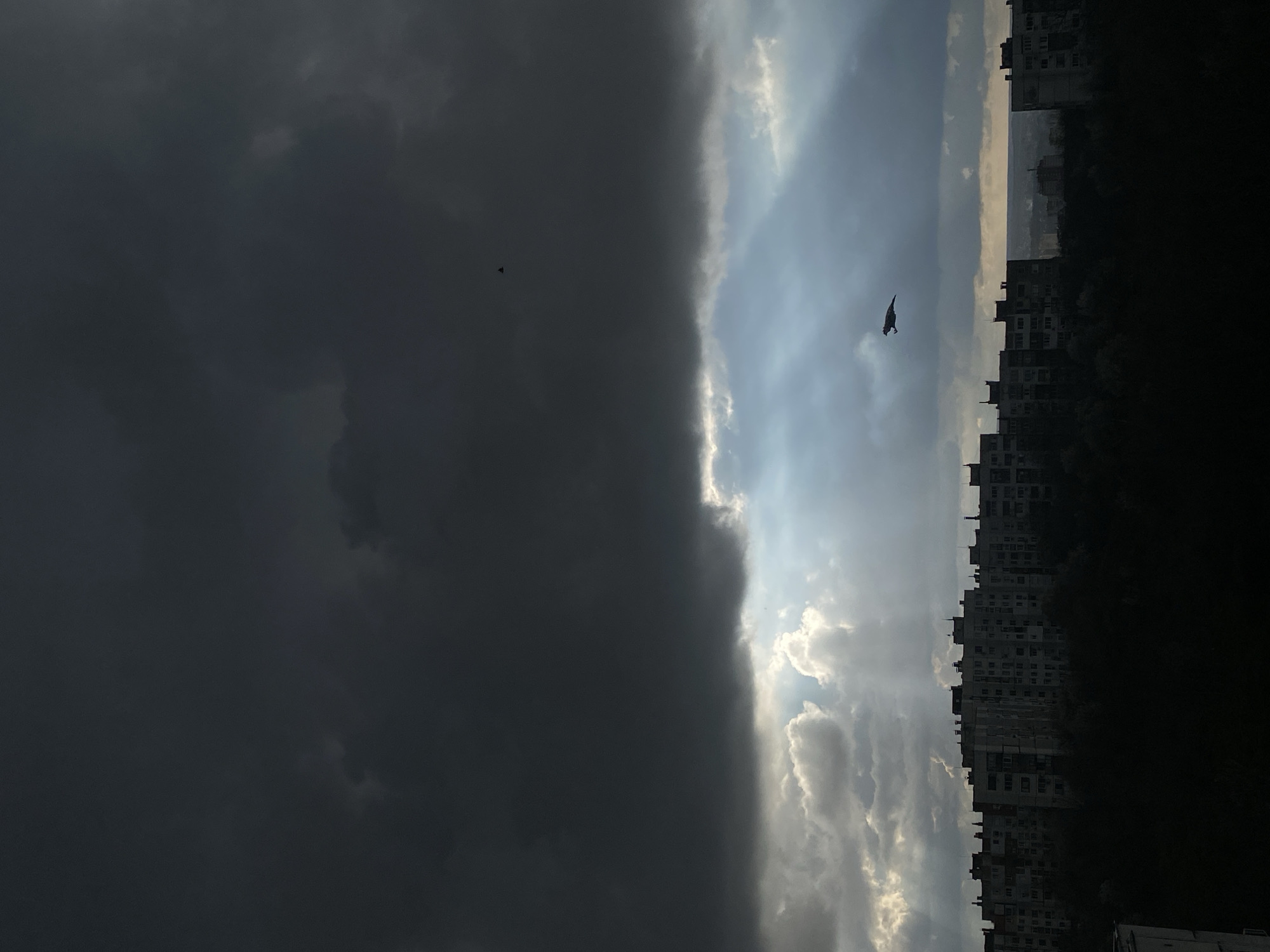 The image shows a sharp contrast between a dark, ominous storm cloud on the left side and a bright, partially cloudy sky with sun rays on the right. In the distance, the silhouettes of tall buildings are visible, likely apartment blocks. A bird is seen in flight in the brighter sky. The buildings appear to be located on the edge of the frame with dark tree shadows. Given the urban landscape and based on visual cues, the location is likely Pleven, Bulgaria.