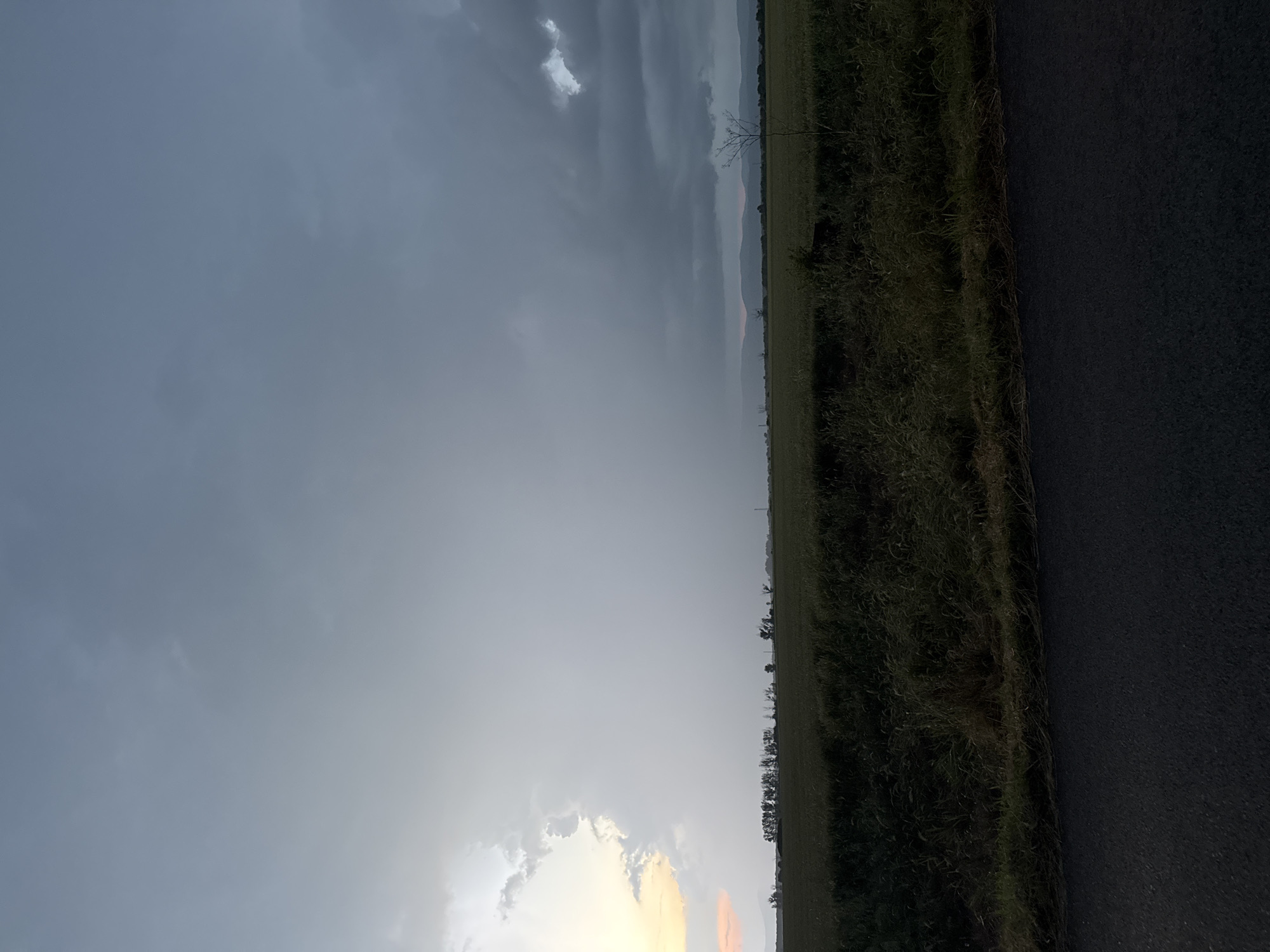 The image depicts a dramatic rural landscape in Sarnevo, Bulgaria, under a heavily clouded sky, viewed as if from a roadside. The scene is dominated by a vast expanse of dark, overcast clouds, suggesting stormy or post-storm weather. Towards the lower left, a vibrant burst of yellowish-orange light pierces through the clouds, indicating either sunrise or sunset, creating a stark contrast with the otherwise grey and muted sky.
In the middle ground, a long, narrow strip of green vegetation, likely agricultural fields or wild grass verges, stretches horizontally across the frame, forming the horizon line. Sparse trees and shrubs are visible along this line, including a distinct silhouette of a bare-branched tree against the sky on the right side. Faintly visible in the far background, behind the fields, are the dark silhouettes of distant mountains or hills, blending into the atmospheric haze.
The immediate foreground on the right features a dark, textured surface, characteristic of an asphalt road or a paved path, running parallel to the vegetated strip. No people or visible text are present in the image. The overall impression is one of vastness and the dynamic interplay between light and shadow in a natural, rural environment.