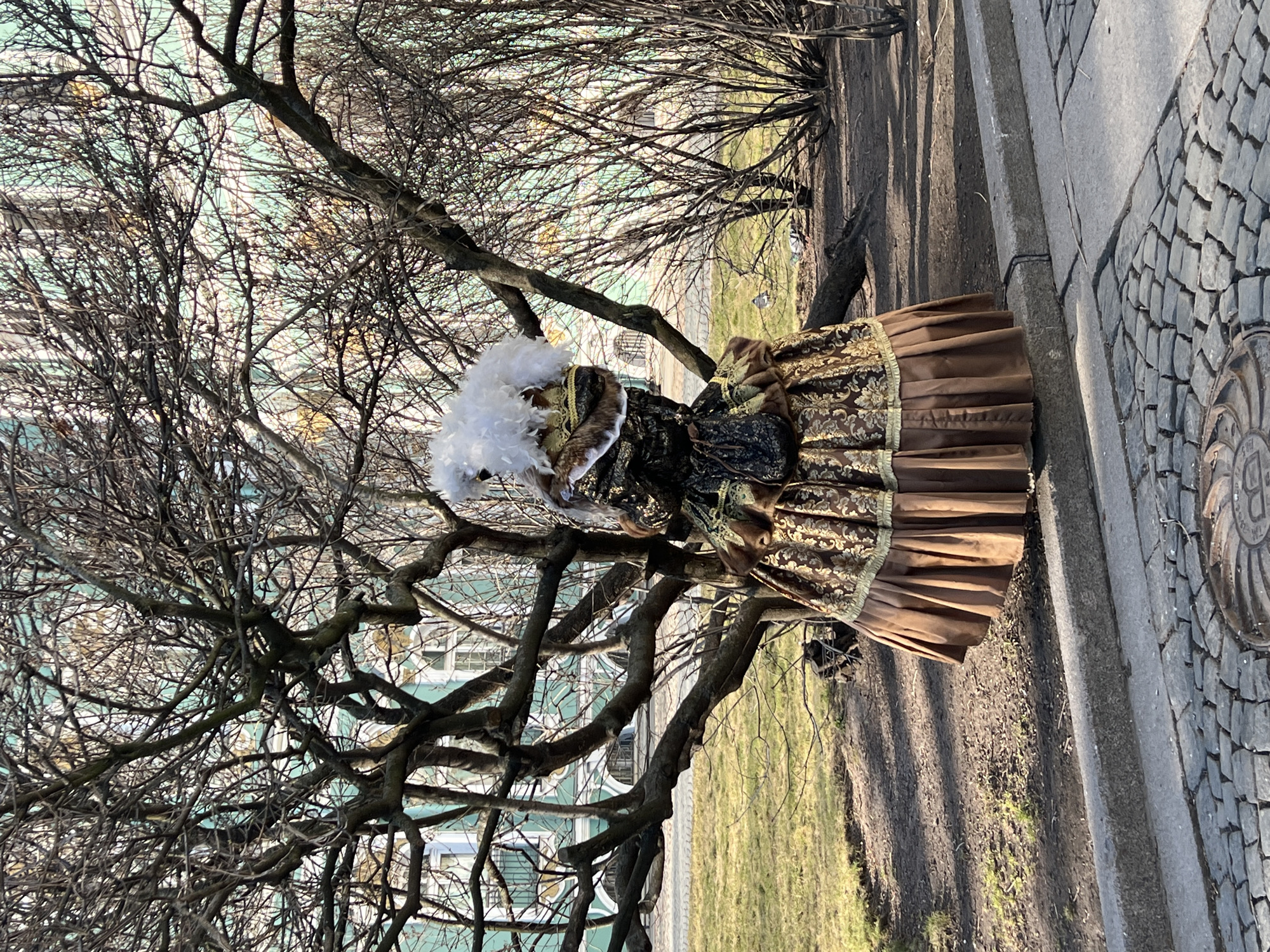 An individual in an elaborate historical costume stands with their back to the viewer in an outdoor setting in Saint Petersburg, Russia. The person wears a dark brown and gold gown with intricate patterns, featuring a fur-like collar and a large white feather plume on the head. A dark, patterned pouch hangs from the waist. They are positioned on a dirt path adjacent to a patch of sparse, yellowish-green grass. A large, bare deciduous tree with gnarled branches occupies the central mid-ground, partially obscuring the background. In the background, the light turquoise-green and white facade of the Winter Palace (State Hermitage Museum) is clearly visible, characterized by its ornate white window frames and columns. Bare bushes are present to the right of the individual, and two pigeons are visible on the ground. The immediate foreground features grey cobblestone paving with a circular metal manhole cover, separated from the dirt path by a stone curb. The scene is illuminated by natural daylight.