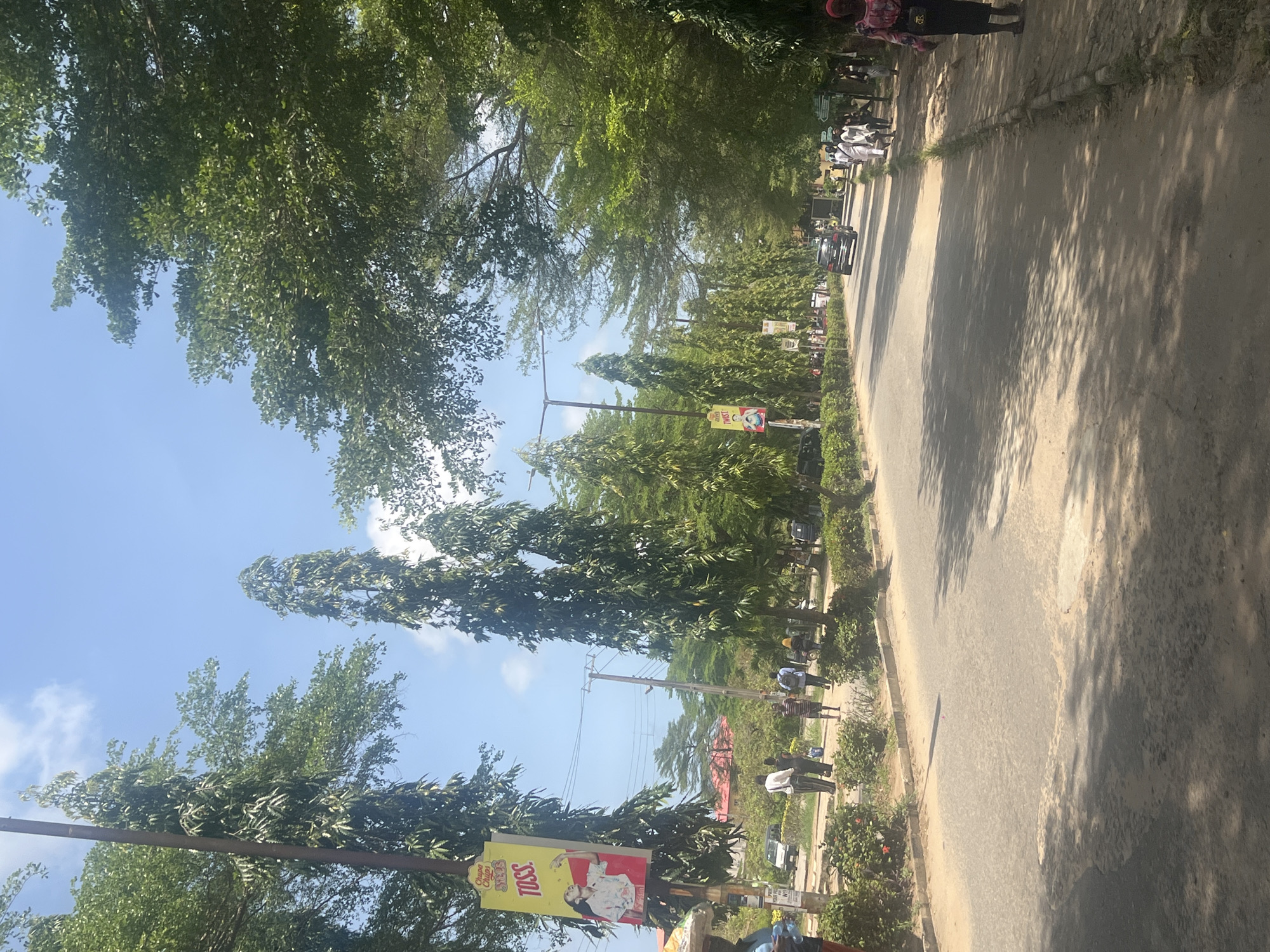 This image, captured in Ijanikin, Nigeria, shows a tree-lined road under a clear, bright blue sky with sparse white clouds. The scene is illuminated by strong sunlight, casting distinct shadows from the trees and objects onto the road and ground, suggesting a midday or early afternoon setting.
The asphalt road, which appears to be a thoroughfare, extends into the distance. It is bordered by dirt shoulders or sidewalks on both sides. Lush, green trees of varying heights and foliage density line both sides of the road, some forming a dense canopy overhead while others are tall and slender. Shrubbery and bushes also grow along the road's edges.
Several people are visible on the right side of the road, some walking and others standing. Their attire includes both casual wear and what appear to be traditional white garments. At least one dark-colored car is partially visible on the road in the middle distance.
A prominent yellow billboard is positioned on the left side of the road, attached to a utility pole. Visible text on the billboard includes "Chupa Chups" and "TOSS.", accompanied by an image of a woman. The overall impression is that of a bustling yet green street in a semi-urban or suburban environment.