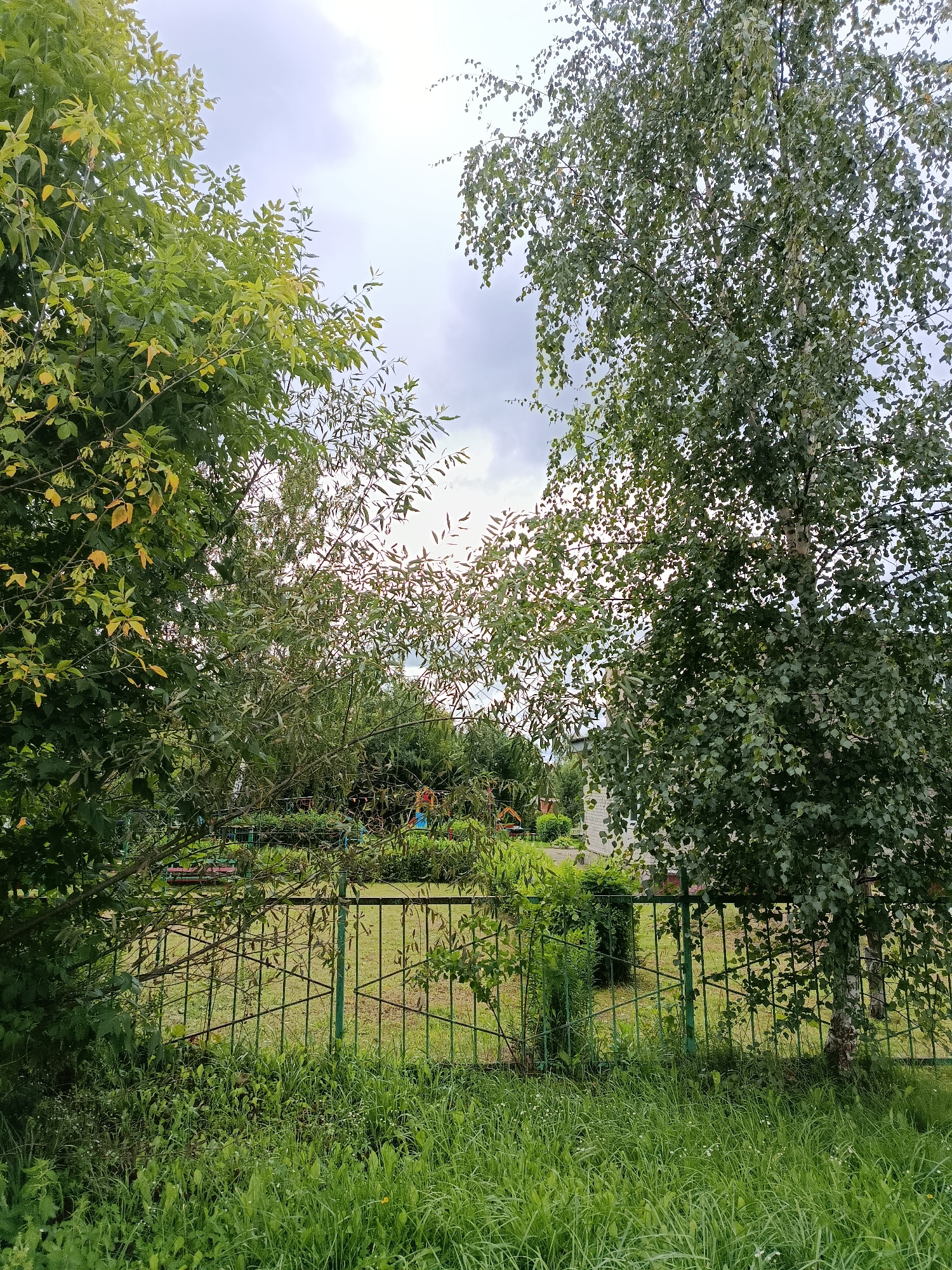 The image shows an outdoor scene, likely in the city of Vereya, Russia, with a focus on vegetation and a fence. Two large trees, one with dense green foliage and the other a birch with its characteristic white bark and lighter green leaves, frame the central part of the image. In the background, a green metal fence runs horizontally, partially obscured by the trees and overgrown grass. Beyond the fence, a grassy area is visible, with what appears to be a playground structure or park equipment, including colored slides and benches. A building constructed of white brick is also visible in the background, to the right of the frame. The sky above is overcast with clouds. The overall impression is one of a semi-urban park or residential area with a naturalistic feel due to the abundant greenery.