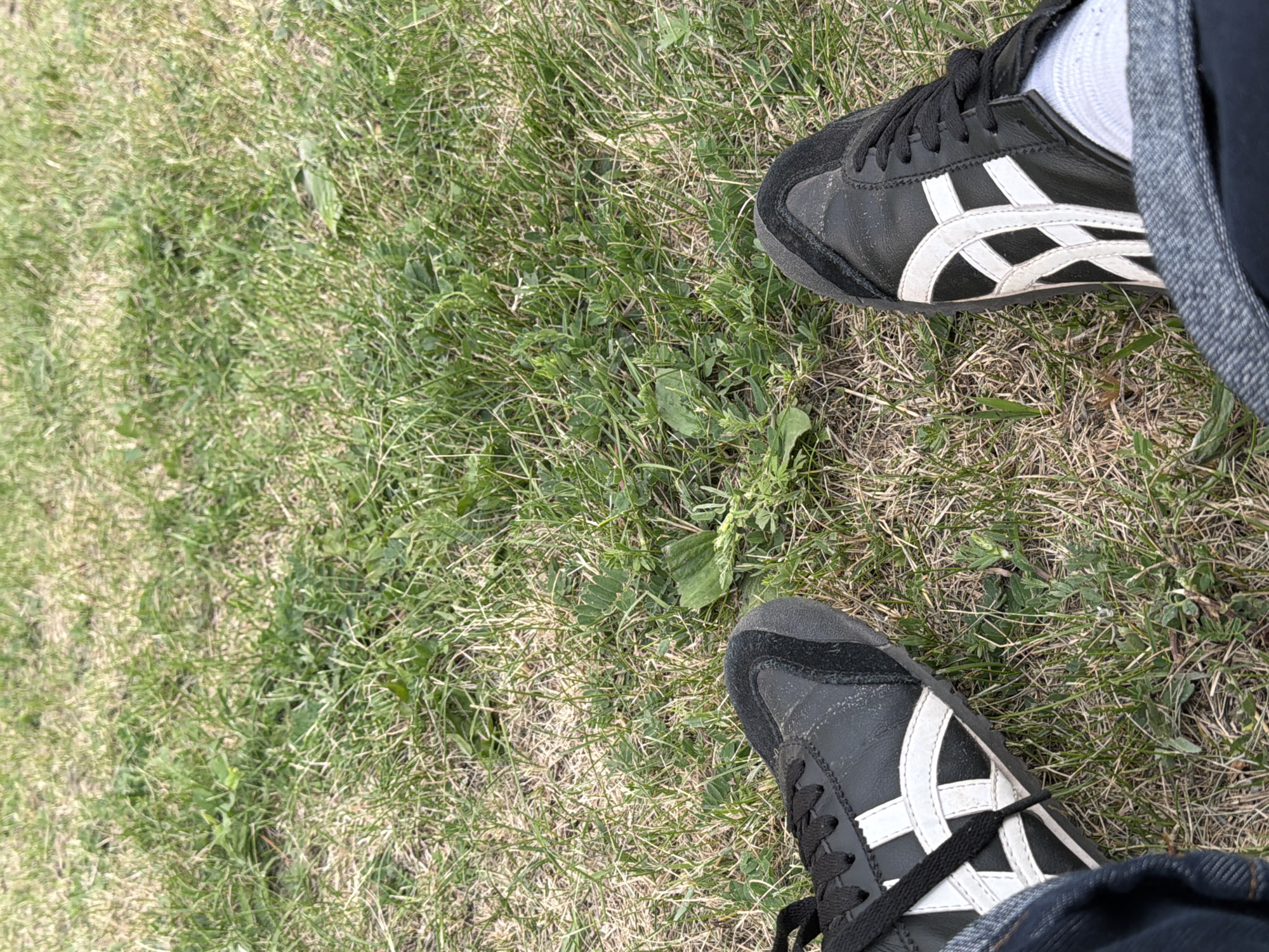 The image shows a person's legs, wearing black athletic shoes with white stripes, sitting on grass. The shoes appear to be Onitsuka Tiger sneakers. The grass is a mix of green and dry blades. The person is wearing dark blue jeans. The scene is outdoors, suggesting a park or open grassy area in Naberezhnye Chelny, Russia. The lighting indicates it is daytime.