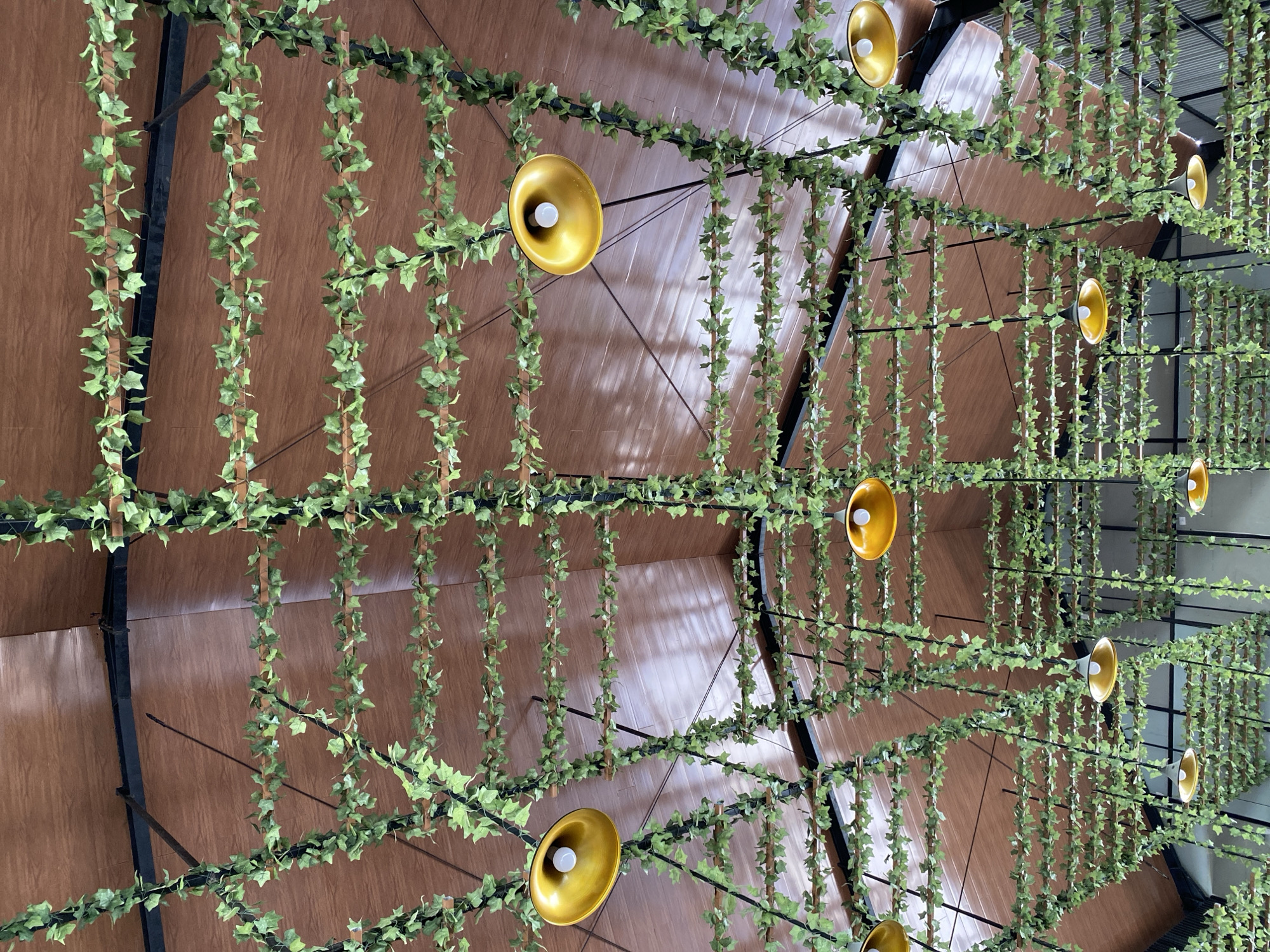 This image captures a view of a ceiling decorated with artificial green ivy vines and several yellow pendant light fixtures. The ceiling itself is made of wood-paneled material, with dark metal beams visible underneath. The ivy is draped over horizontal wooden slats, creating a textured, layered effect. The light fixtures are large, bowl-shaped, and emit a warm yellow glow from a white bulb. The setting appears to be an indoor space, possibly a restaurant, cafe, or event venue, with a rustic or naturalistic aesthetic. The specific location in Lhokseumawe, Indonesia, is not discernible from the image itself. There are no people or animals present in the frame.