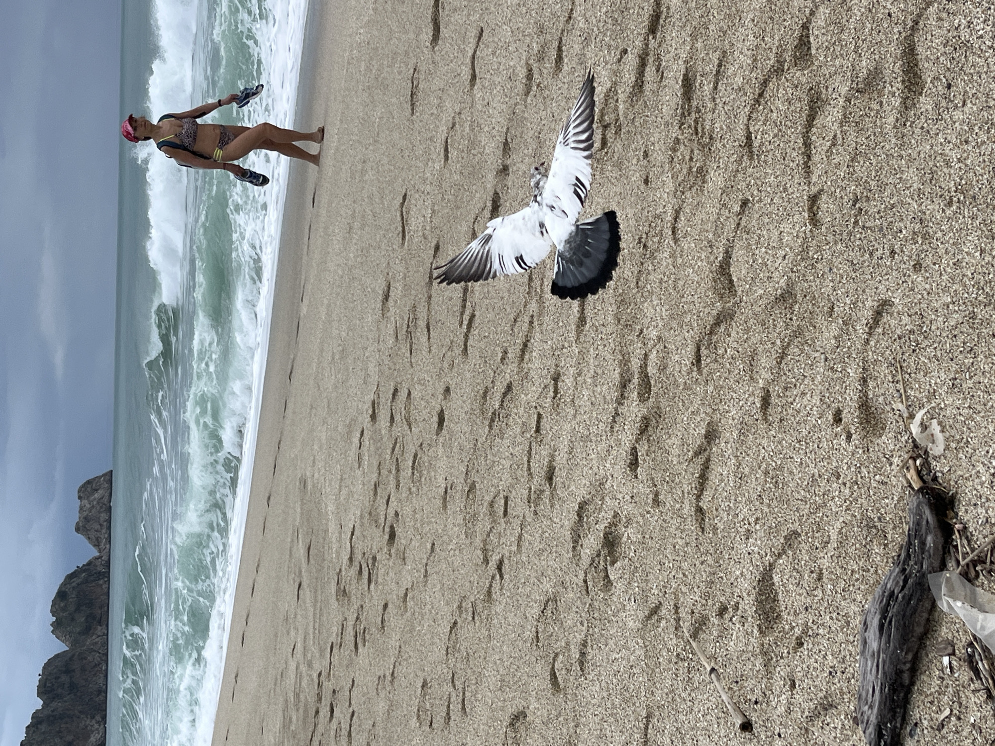The image depicts a beach scene in Alanya, Turkey. A woman in a bikini and pink cap is walking near the shoreline, holding sandals in both hands. The ocean waves are crashing behind her. In the foreground, a white and gray pigeon is captured mid-flight, its wings spread wide. The beach sand is light brown and covered in footprints. To the right, there is some driftwood and litter. A rocky headland is visible in the background. The sky appears overcast.