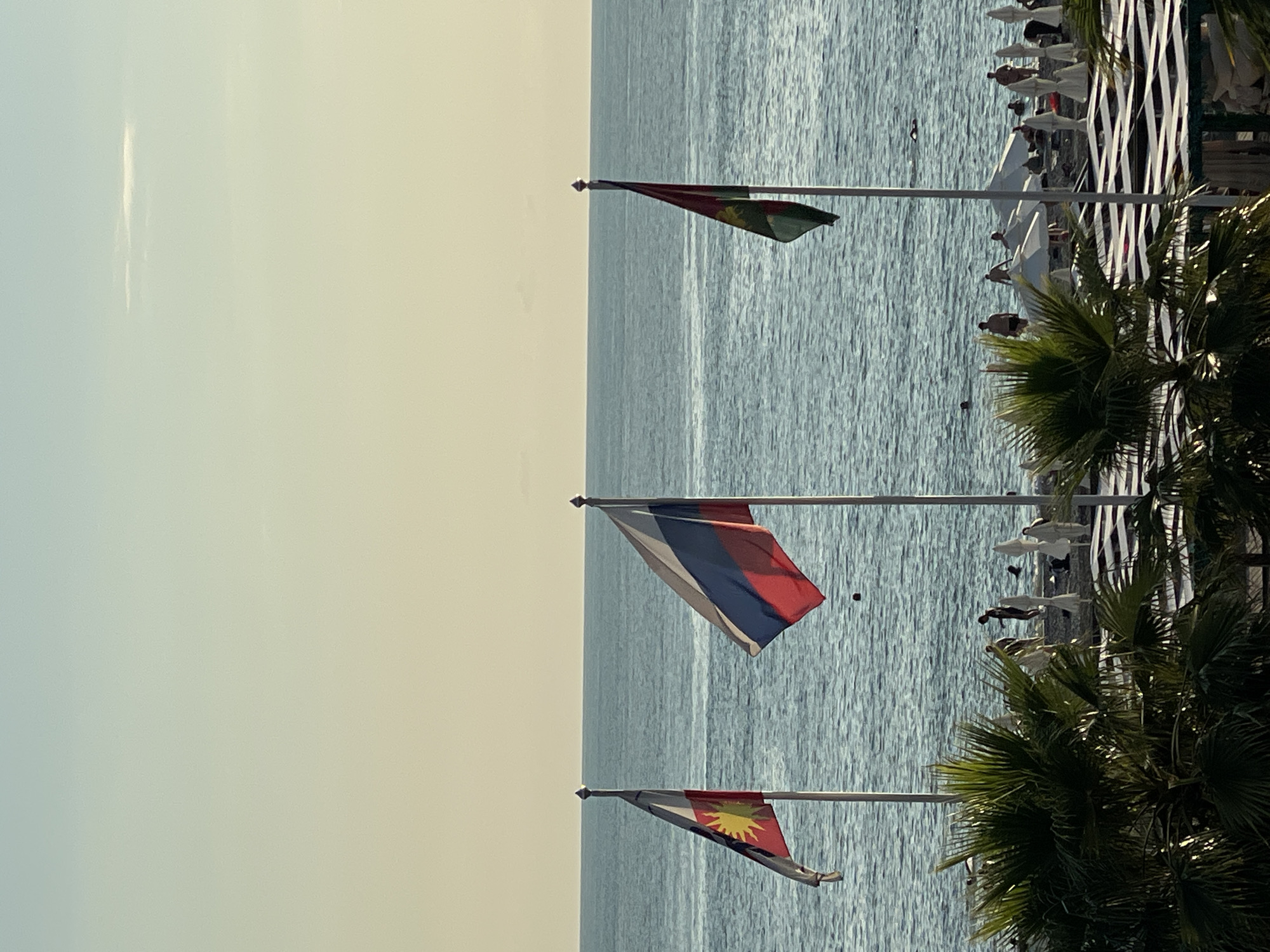 The image shows a scenic view of the Black Sea in Sochi, Russia, under a clear, bright sky, suggesting it is daytime and the weather is fair. The foreground features three flags on poles, waving gently in the breeze. The top flag, partially visible, appears to be dark red with some yellow or green emblem. The middle flag is the Russian flag, with its distinct white, blue, and red horizontal stripes. The bottom flag is red with a yellow sun emblem, possibly the flag of Antigua and Barbuda.
Beyond the flags, the calm, blue water of the Black Sea stretches towards the horizon. In the middle ground, a beach or promenade is visible, lined with white beach umbrellas and loungers, and a white striped fence. Several people are scattered along the promenade, some appearing to be sunbathing or walking. A few figures are also in the water, possibly swimming. Lush green palm trees frame the right side of the image, adding to the tropical or seaside atmosphere. The overall mood is relaxed and peaceful, characteristic of a holiday destination on a sunny day. There is no visible text in the image.