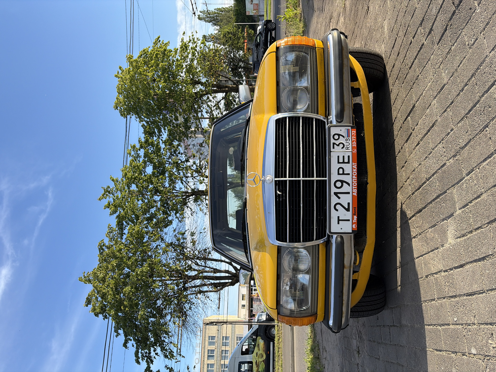 A yellow Mercedes-Benz W123 sedan is parked on a paved area with a brick pattern. The car is facing the camera, and its front is well-lit by sunlight. The car has a chrome grille and dual headlights. A license plate with the text "T 219 PE 39 RUS" is visible below the grille. There is a sticker with "Top Rent" and "Автопрокат" above another sticker with "33-77-72". In the background, there are trees with green foliage, power lines, a building, and other vehicles on a road. The sky is blue with some wispy clouds.