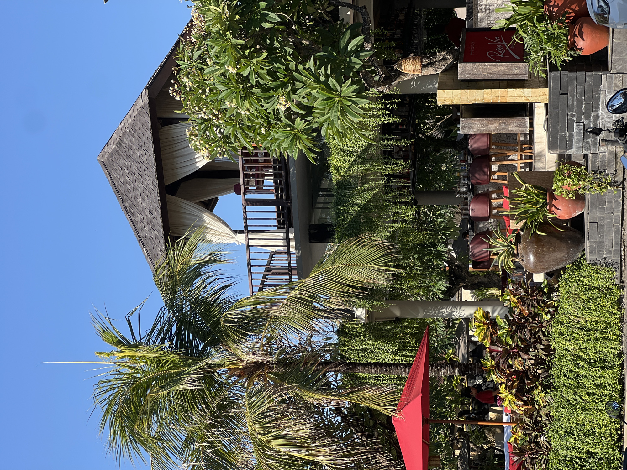 The image depicts an outdoor seating area of a restaurant or bar in Kuta, Indonesia, on a clear day. The scene features a two-story structure with a wooden-shingled roof, adorned with white curtains, and a balcony overlooking the area. Lush greenery, including palm trees and hanging vines, dominates the foreground and surrounds the building.
In the lower portion of the image, a bright red umbrella shades a seating area. Several potted plants and a large, dark ceramic vase are arranged on a stone ledge. A person in a red shirt is visible in the background, appearing to be working. Behind the plants, a bar area with high stools and a counter is visible, along with a sign that reads "Rosso Vivo". Additional foliage and architectural elements, such as pillars and wooden accents, contribute to the tropical ambiance. The sky is a clear, bright blue.