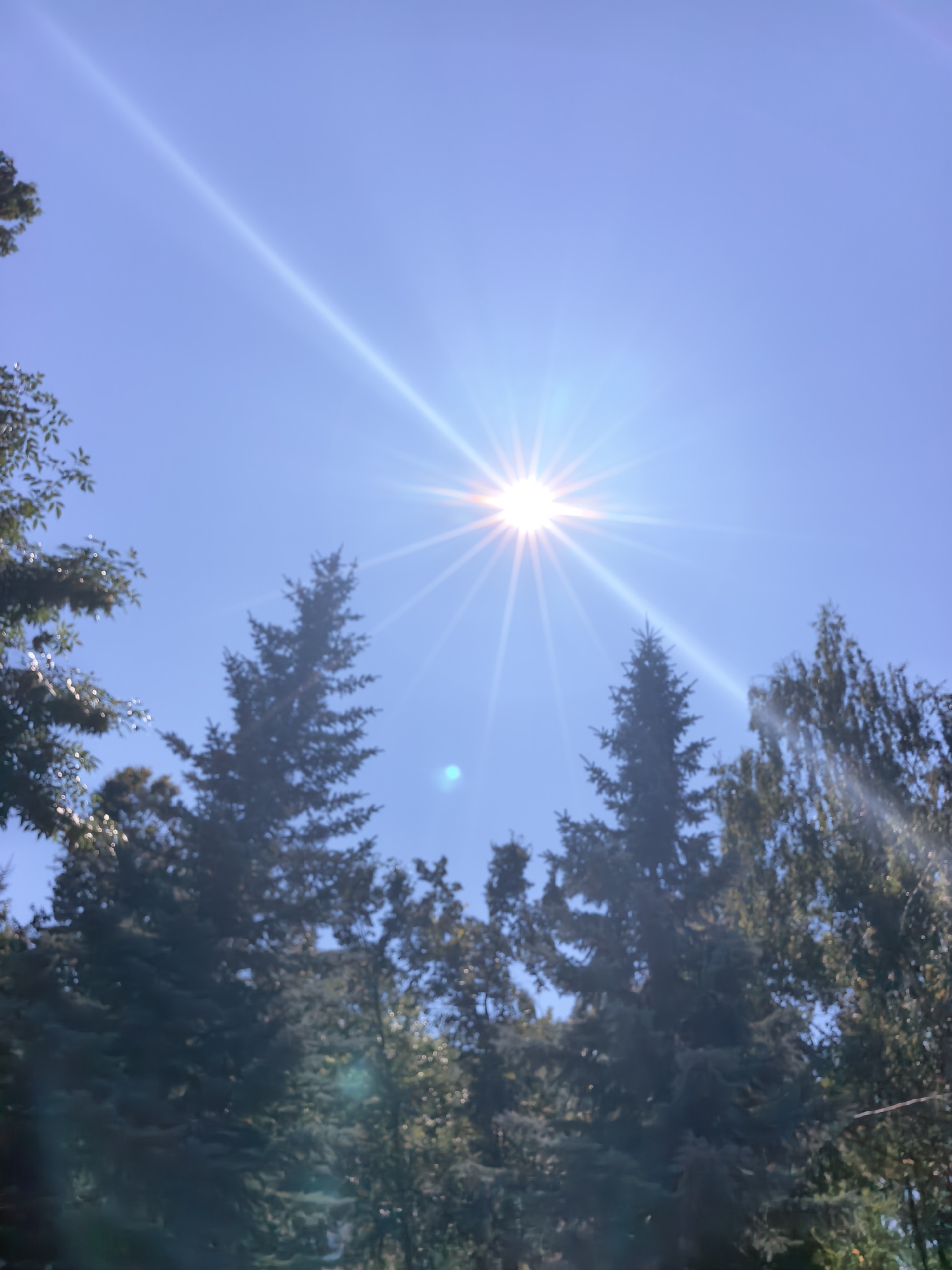 This is a low-angle shot looking up at a bright sun with prominent lens flare, set against a clear blue sky. The sun is positioned in the upper right quadrant, radiating bright light and starburst effects downwards and to the left. Silhouetted against the sky are the tops of several evergreen trees and some deciduous trees with foliage. The overall lighting suggests a sunny day, possibly mid-morning or afternoon. The scene appears to be outdoors, in a natural or park-like setting, consistent with a location in or around Sterlitamak, Russia. No people or specific city landmarks are visible.