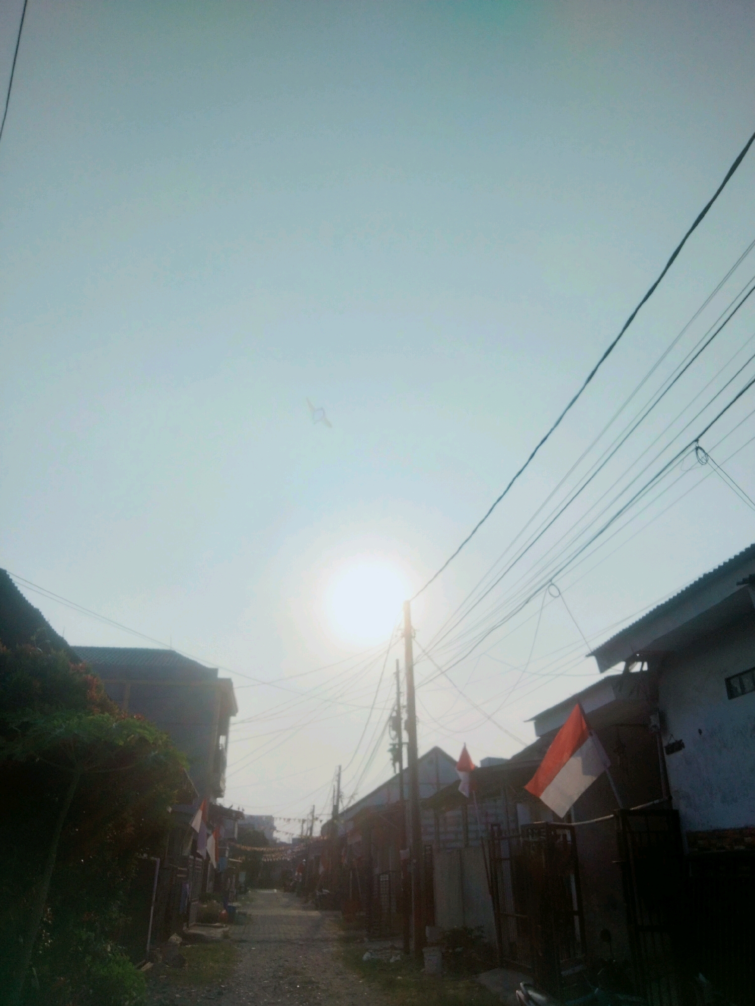 The image depicts a street in a densely populated area, likely within Tangerang, Indonesia, based on the presence of Indonesian flags displayed on buildings and along the street. The scene is bathed in the bright, hazy light of the sun, which is partially obscured by the sky and a network of overhead electrical wires.
On either side of the narrow, unpaved street are houses and buildings. Some structures appear to be made of concrete and brick, with visible roofs and windows. Indonesian flags, red and white, are prominently displayed, suggesting a national celebration or event.
Vegetation, including trees and bushes, can be seen on the left side of the street, adding a touch of greenery to the urban environment. The ground is covered with gravel and dirt, indicating a potentially unpaved or partially developed road.
The overall impression is one of a residential neighborhood experiencing a bright, possibly hot, day. The presence of the flags and the dense housing suggest a community context. No people are clearly visible in the image, but parked motorcycles indicate local transportation. The sky is a pale blue with some haze, and a small object, possibly a kite or a bird, is visible in the distance.