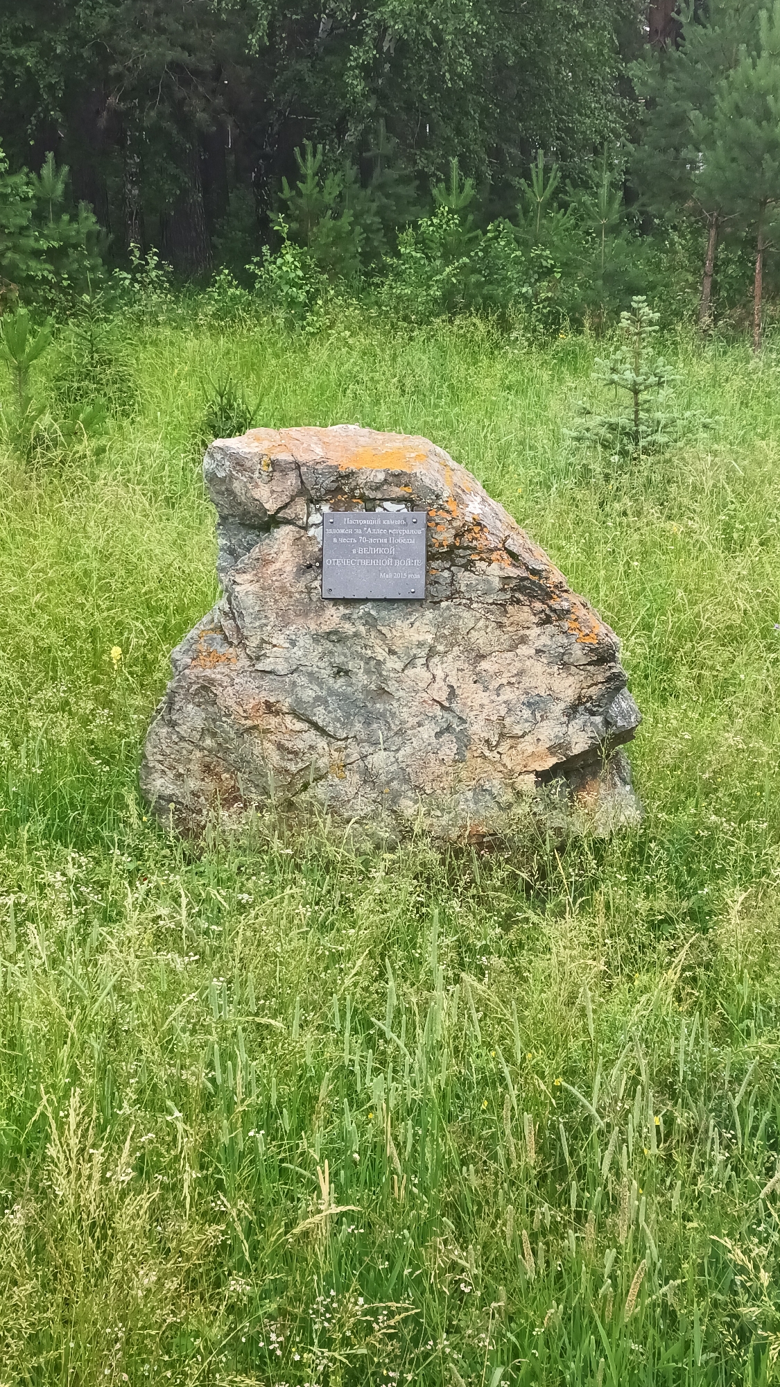 A large, weathered rock with orange lichen is situated in a grassy field, with a plaque attached to its surface. The plaque is dark and rectangular with white text. Behind the rock, a dense forest of pine and deciduous trees can be seen. The environment appears to be a natural setting, possibly a park or memorial site. The plaque reads: "Memorial stone, installed in honor of the 70th anniversary of Victory in the Great Patriotic War. May 2015." This location is identified as Abaza, Russia. There are no people or animals visible in the image.
