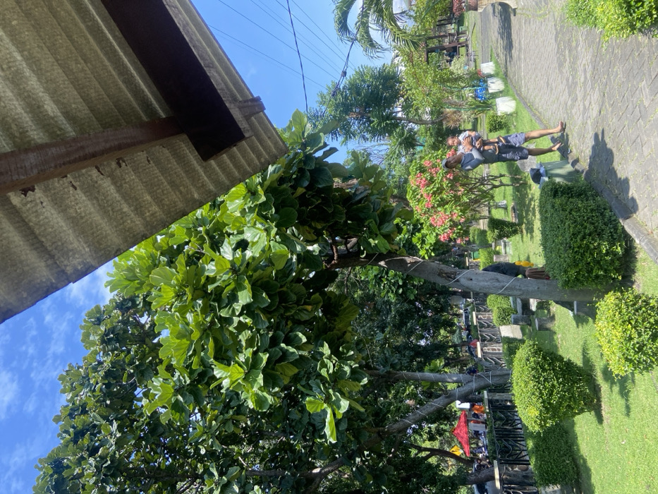 The scene is a public park in Kecamatan Sidoarjo, Indonesia, located at coordinates (latitude: -7.441, longitude: 112.705). A large tree with green leaves dominates the center of the image, with its trunk and branches visible. The tree is surrounded by smaller trees, bushes, and flower beds, creating a lush green environment. There are several paths and walkways, paved with stone, winding through the park. A man is walking down a pathway, carrying a small child in his arms. They are walking away from the camera, with the man wearing a dark grey shirt and blue shorts, and the child wearing a white shirt and blue shorts. The scene is sunny and the sky is blue with a few white clouds.