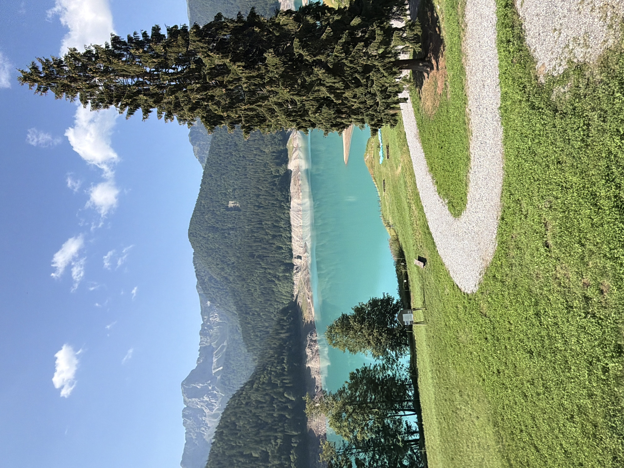 The image depicts a scenic view of a turquoise lake bordered by lush green hills and mountains under a bright blue sky with scattered white clouds. In the foreground, a pathway made of light-colored gravel curves through a grassy area. A tall, mature evergreen tree stands prominently on the right side of the frame, casting a shadow on the ground. A small, wooden structure, possibly a sign or information board, is visible on the left side of the path, near a cluster of trees. In the mid-ground, the vibrant turquoise water of the lake stretches towards a distant shoreline with rocky areas. The background is dominated by densely forested slopes and rugged mountain peaks. The overall impression is one of a serene and natural landscape, likely in a mountainous region. The location is identified as Sauris / Zahre, Italy. No people are visible in the image.