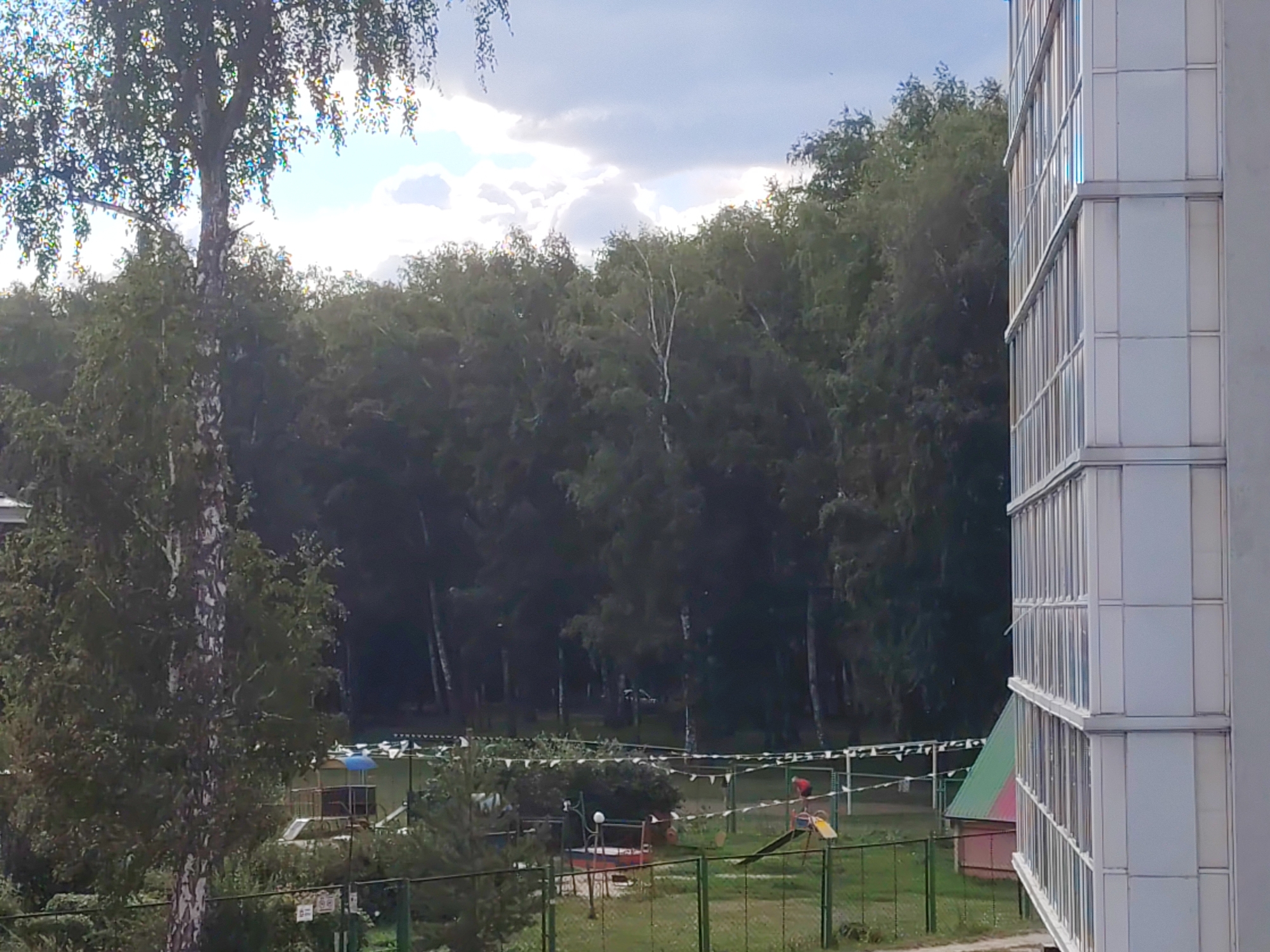 The image depicts a view from a multi-story building, likely an apartment complex, looking towards a wooded area and a children's playground. A section of the building's facade, characterized by its white and glass panels, is prominently visible on the right side of the frame. In the foreground, a large tree with a striped bark stands on the left. Beyond the tree, a playground with swings and a slide is visible, separated by a green fence. In the background, a dense forest of deciduous trees stretches across the horizon under a partly cloudy sky. The scene suggests a residential area with recreational facilities, likely situated in Kemerovo, Russia, given its typical urban landscape featuring apartment buildings adjacent to green spaces and forests. The overall atmosphere is serene, with no people or immediate actions captured in the frame.