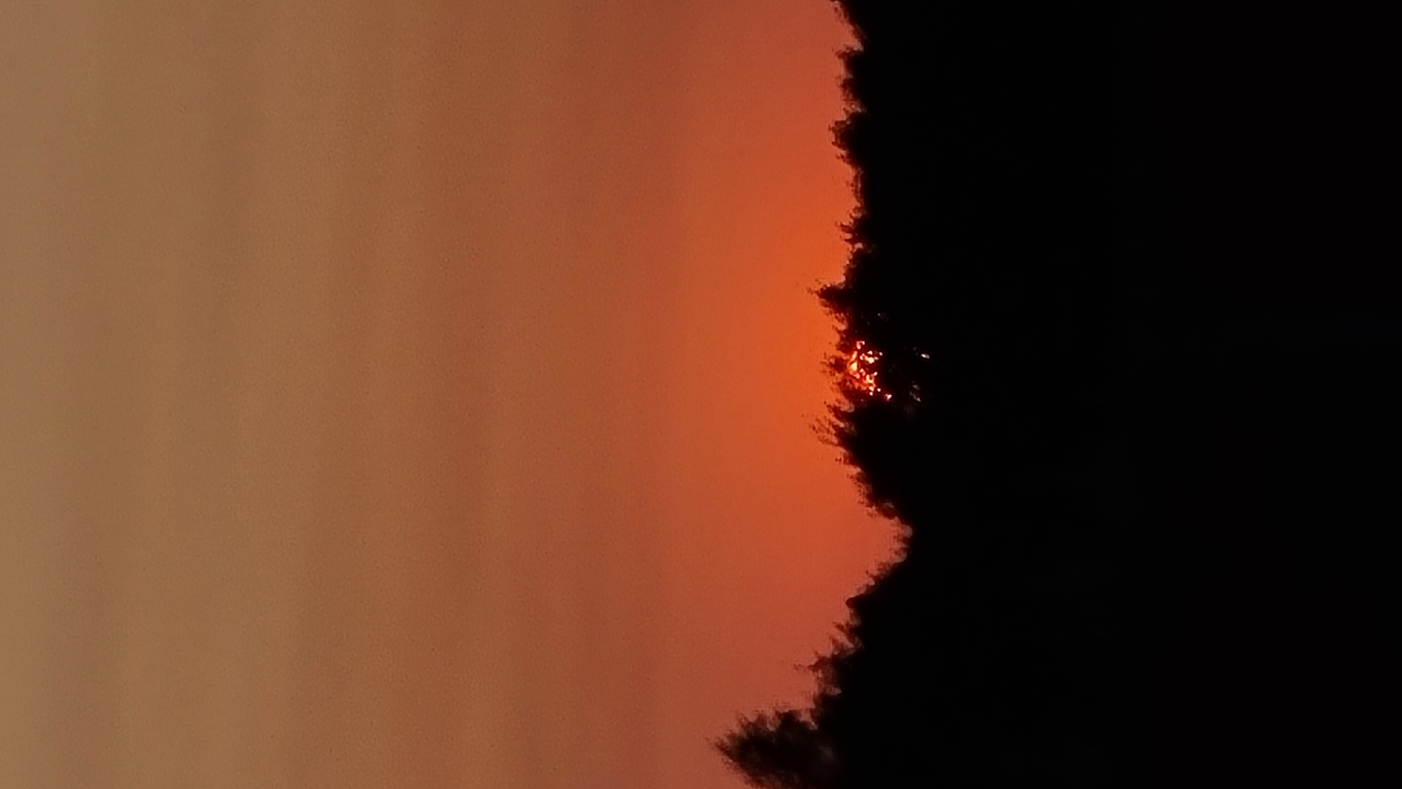A sunset is visible over a silhouetted treeline. The sky is a gradient of orange and red. The sun is partially obscured by the trees, casting a bright orange glow through the branches. The treeline is dark and jagged, with some branches appearing to be blowing in the wind. The foreground is a solid black silhouette, indicating a dark environment or a close-up view of the trees. There are no people or man-made objects visible in the image. The image appears to be taken in a natural, outdoor setting.