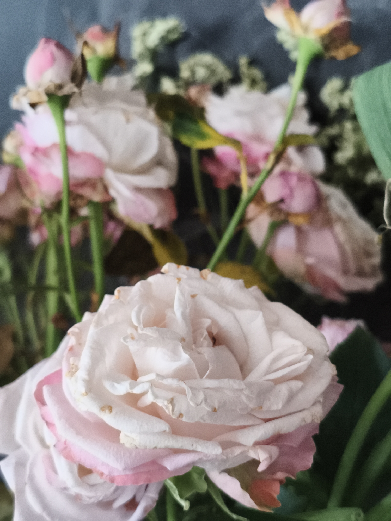 A close-up, vertical shot focuses on a pale pink rose in the foreground, with its petals unfurling. The rose exhibits slight wilting, with some dried brown speckles on its outer petals. Behind it, a bouquet of other flowers, mostly in shades of pink and white, is visible, some appearing fully bloomed while others are buds. Green stems and foliage punctuate the arrangement. The background is a softly blurred dark gray, possibly a wall or fabric. The overall lighting is dim, creating a moody and intimate atmosphere. The image does not depict any specific location in the city of Русский Вожой, Russia.