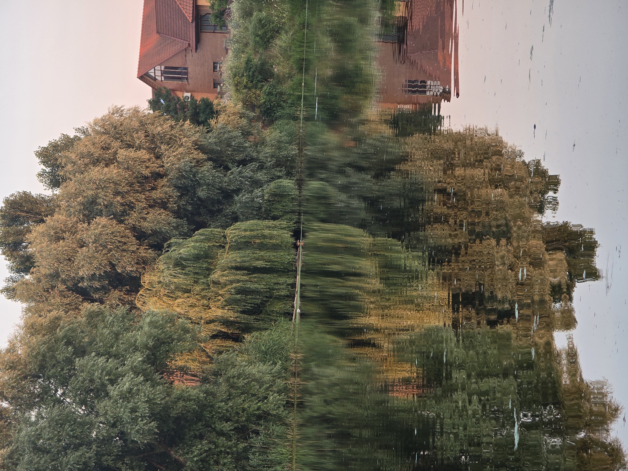 This is a photograph of a riverbank lined with lush green trees and vegetation. A large, reddish-brown brick house with a steeply pitched roof and a large window is visible on the right side of the image, partially obscured by the trees. The river in the foreground reflects the trees and the house, creating a mirrored image. The sky is a pale, hazy pink, suggesting either dawn or dusk. The scene is tranquil and appears to be located in Sofiivska Borshchahivka, Ukraine. There are no people or animals visible in the image.