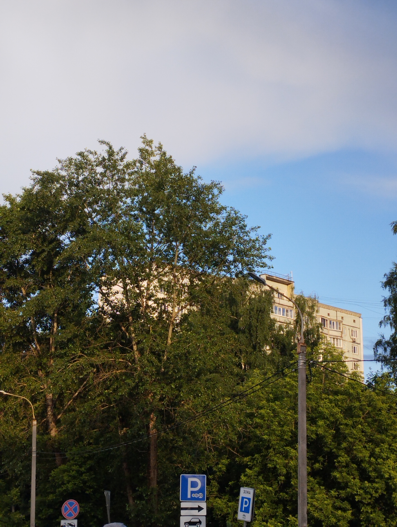 The image depicts a street scene in Nakhabino, Russia, dominated by lush green trees in the foreground and middle ground. Behind the foliage, a light-colored, multi-story apartment building with numerous windows and balconies is visible. The sky above is a blend of bright blue and white clouds. Several traffic signs are present: a blue sign with a white "P" and numbers "10 15 20" indicating parking times, a blue sign with a white "P" and the text "30HA", and a red circular sign with a blue diagonal bar over a red cross, signifying no parking or stopping. A lamppost with a curved arm for a light fixture stands near the center-left of the frame. The overall atmosphere is one of an urban environment with significant natural elements. There are no people visible in the image.