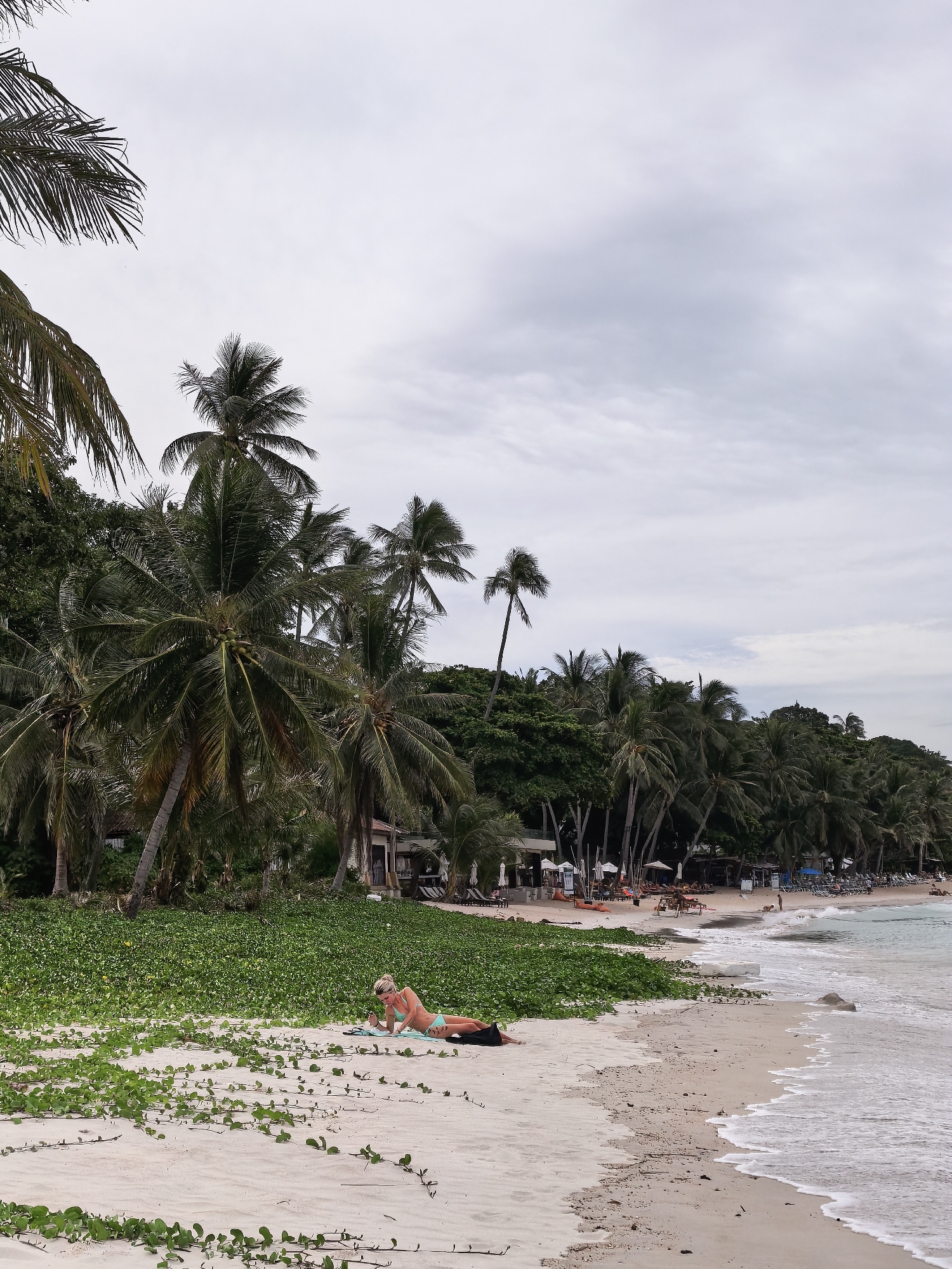 The image depicts a serene beach scene in the Ko Samui District of Thailand. A woman, wearing a light blue bikini, is seen reclining on a towel on the sandy shore. She is positioned on her stomach, facing towards the right of the frame, with her head slightly raised as if looking at something in her hands. Her blonde hair is pulled back, and she appears to be engaged in an activity such as reading or using a phone.
The beach is fringed with lush green vegetation that extends towards a dense line of palm trees. The sand is a light beige color, and scattered along its surface are small green vines. In the background, a row of palm trees forms a natural backdrop, beyond which are some buildings and umbrellas, suggesting a resort or beachfront establishments. The ocean is visible on the right side of the image, with gentle waves lapping at the shore. The sky is overcast with a pale gray cloud cover, contributing to the subdued lighting of the scene. The overall impression is one of tranquility and relaxation.
