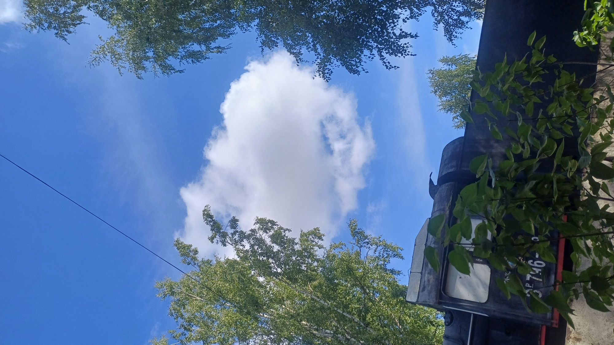 In Izhevsk, Russia, a black steam locomotive is partially obscured by green foliage in the foreground. The locomotive has a white window. The sky above is a vibrant blue, dotted with a large, fluffy white cloud. Two trees with green leaves frame the scene on the left and right sides. A thin black wire stretches diagonally across the sky from the upper left to the upper right corner. The image appears to be taken outdoors on a sunny day.