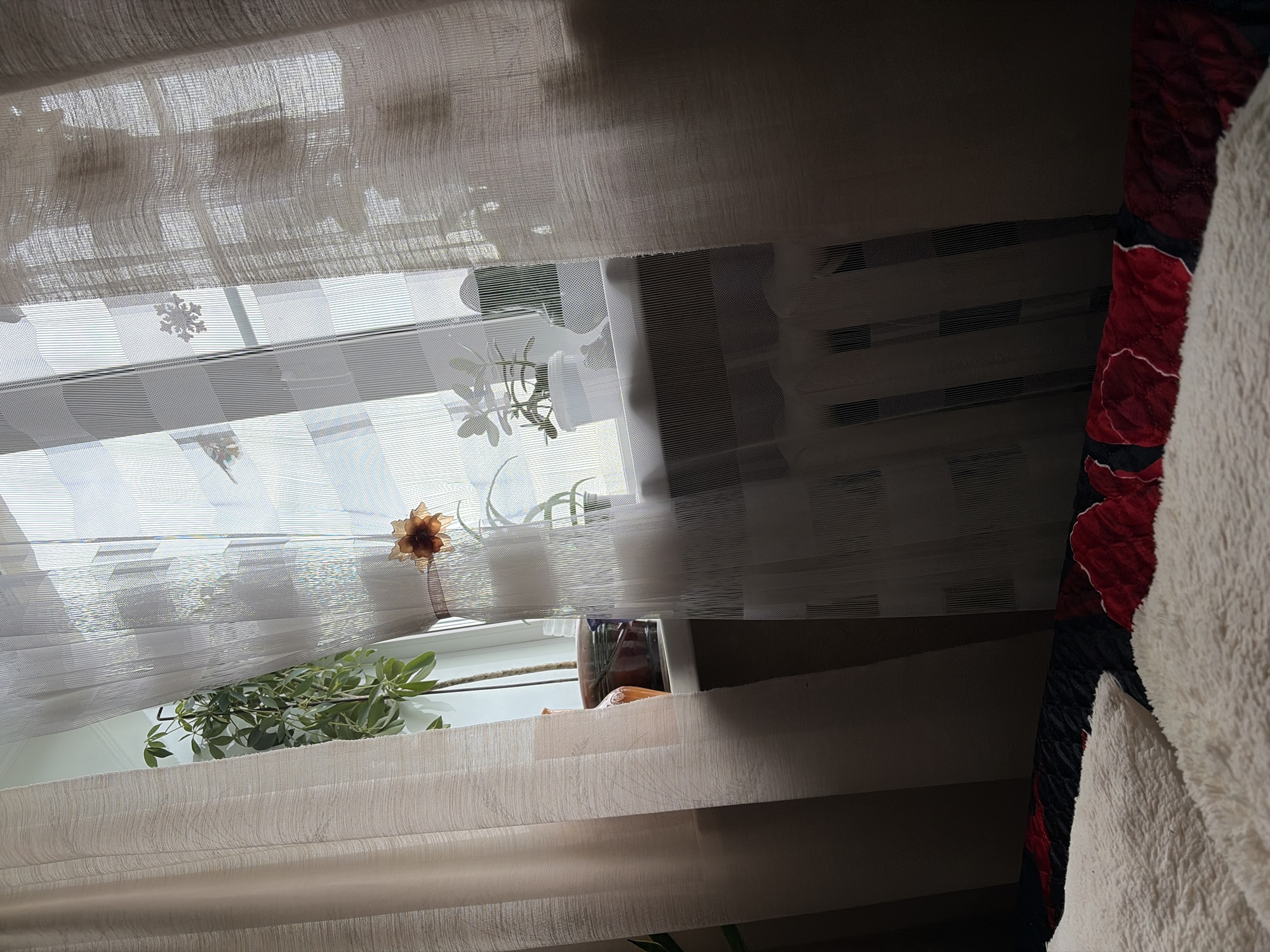 The image depicts an indoor scene, likely a bedroom, with a focus on a window covered by sheer curtains. Several potted plants are visible on the windowsill. The curtains have a textured pattern. To the left, a thicker, opaque curtain is partially drawn. In the foreground, a fluffy white blanket or pillow is prominent, resting on a bed with a patterned red and black comforter. The lighting suggests it is daytime, with light streaming through the window. The specific location in Skopin, Russia, is not visually indicated within the image itself.