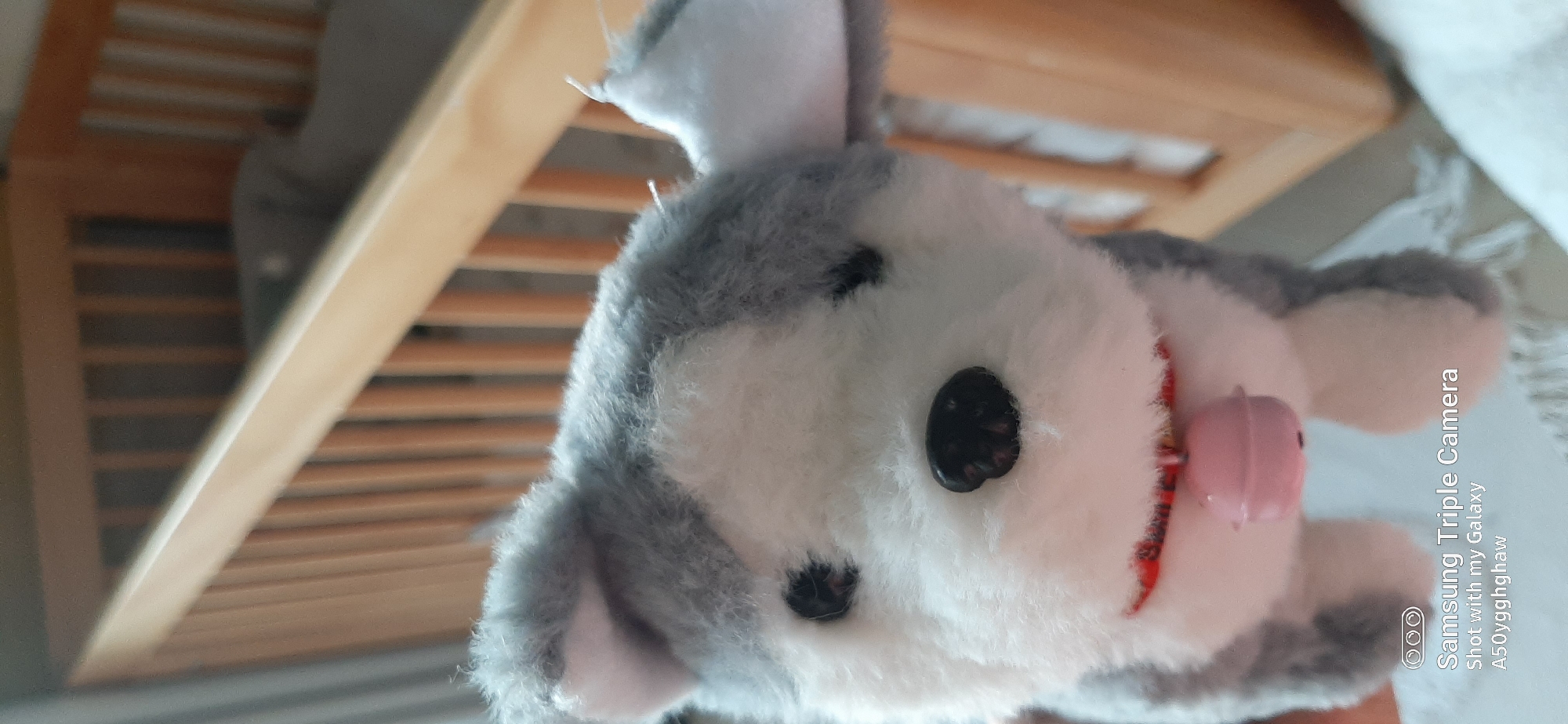 This is a close-up, eye-level, medium-shot photograph of a stuffed toy dog, likely a husky, positioned in the foreground. The toy has grey and white fur, black eyes, a black nose, and a red collar. A small pink tongue-like accessory is visible beneath its chin. The background is blurred, revealing wooden slats that appear to be part of a crib or a railing. The lighting is soft and natural, suggesting an indoor setting during the daytime. The bottom right of the image contains a watermark indicating it was taken with a "Samsung Triple Camera" on a "Galaxy A50yggghaw." The scene is devoid of any indication of the city of Dubai, United Arab Emirates.
