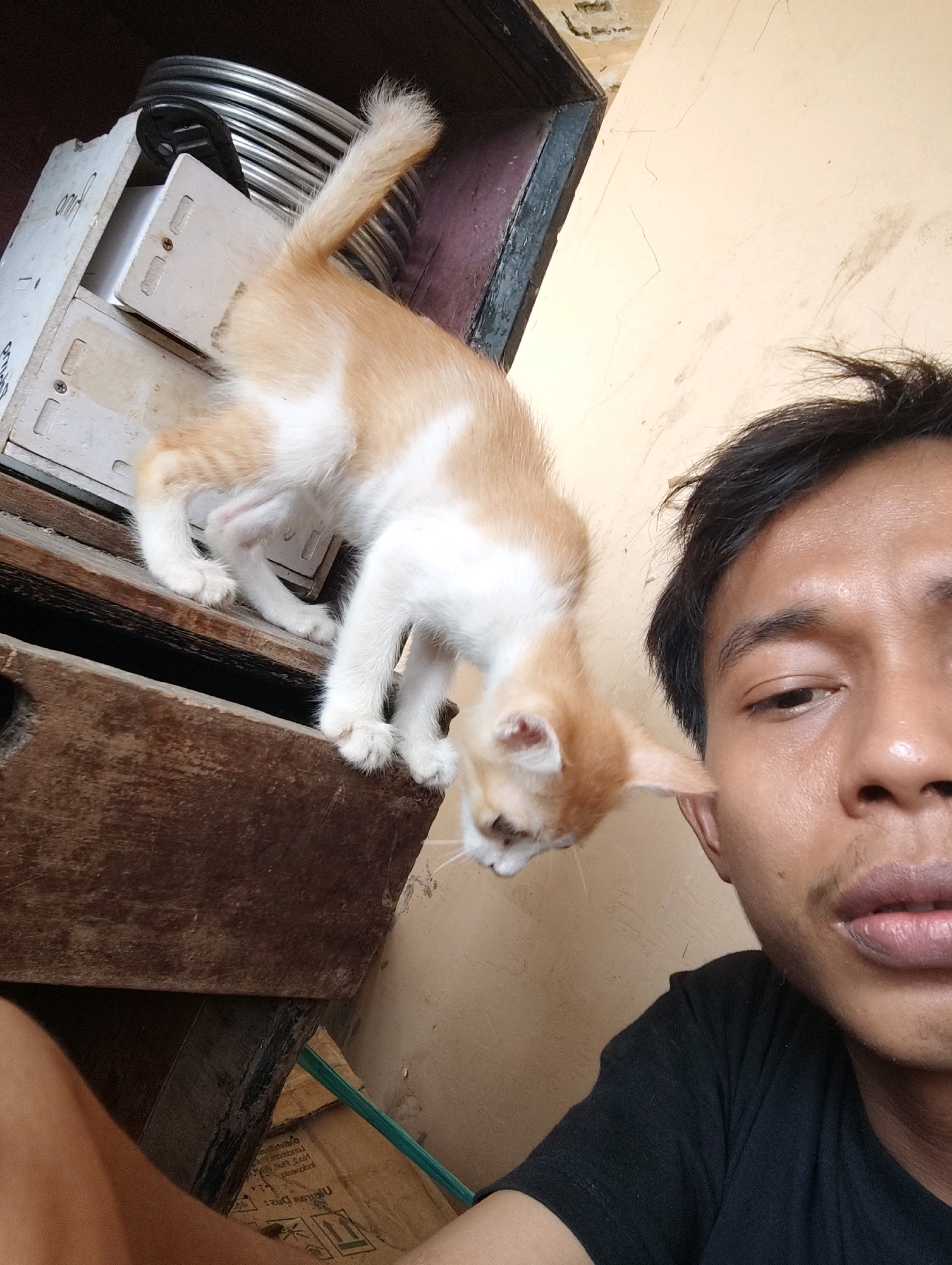 In this selfie-style image, a young man with dark hair and brown skin is close to the camera, his face filling the right side of the frame. He is wearing a black t-shirt. To the left of the man, a ginger and white kitten is on a wooden surface, its body angled downwards as it looks towards the camera. The kitten's front paws are on a drawer-like structure, and its hind legs are on a lower wooden surface. Behind the kitten, there is a white drawer unit with metal coils or pipes visible behind it. The background consists of a textured, yellowish wall and a dark wooden frame. The scene appears to be indoors, possibly in a home setting.