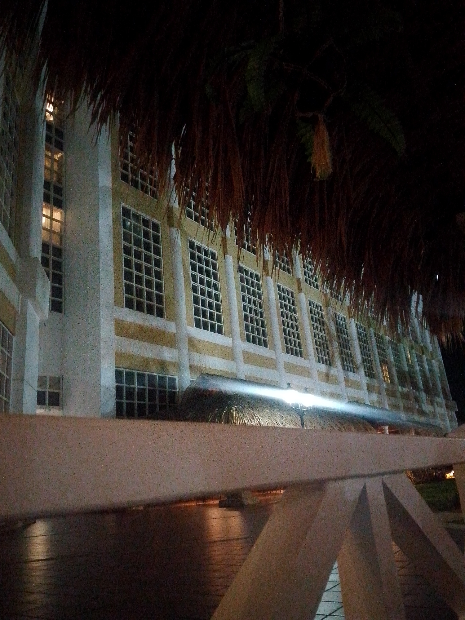 The image depicts the exterior of a building at night, likely a hotel or resort, in Pedro González, Venezuela. The building features a repetitive architectural style with numerous tall, multi-paned windows separated by cream-colored columns. Horizontal bands of a yellowish hue accent the facade between floors. A thatched roof overhang partially obscures the top of the building, and a light fixture is visible beneath it, casting a bright glow. The foreground is dominated by a beige railing, suggesting a walkway or balcony. The ground appears to be paved with interlocking stones, reflecting light from the building. The overall atmosphere is dark, with the building's illumination providing the primary light source. There are no people or discernible actions visible in the scene.