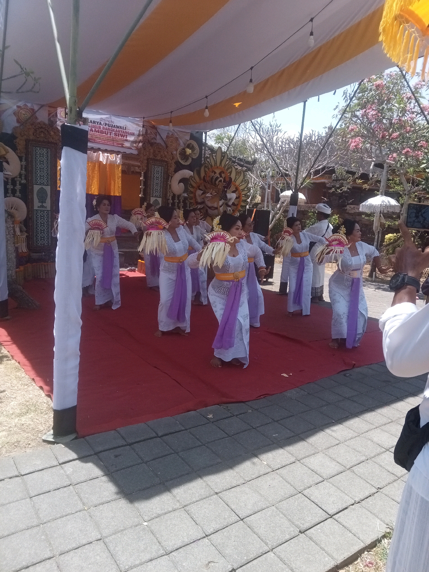 In Mendoyo, Indonesia, a group of women in traditional Balinese attire are performing a dance on a red carpet. They are wearing white lace tops and skirts with purple sashes, and each woman holds a fan made of palm leaves. The stage is set under a white and yellow tent, with ornate decorations and a banner in the background. The atmosphere appears festive, with lush greenery and trees visible beyond the tent. The photograph captures a moment of cultural expression and community celebration.
