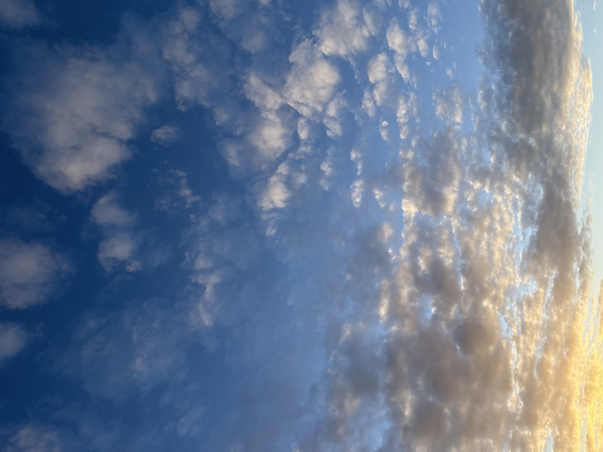 The image displays a vast expanse of sky filled with diverse cloud formations. The color palette transitions from a deep, rich blue in the upper left to lighter shades of blue and then to warm, golden, and off-white tones towards the right side of the frame. This gradient in color suggests either early morning or late afternoon, with the bright golden illumination on the clouds to the right strongly indicating a sunset or sunrise.
Various types of clouds are present, from wispy and scattered formations in the clearer blue regions to more densely packed, textured, and undulating clouds that dominate the middle and right-hand side. The clouds catching the golden light appear bright and voluminous, while others remain in shadow, exhibiting subtle grey and white tones.
There are no people, objects, or specific activities taking place within the frame; the scene is entirely focused on the atmospheric conditions. The overall impression is one of natural beauty and tranquility. Although the image itself contains no explicit geographical markers, the location context provided is Saint Petersburg, Russia. There is no visible text in the media file.