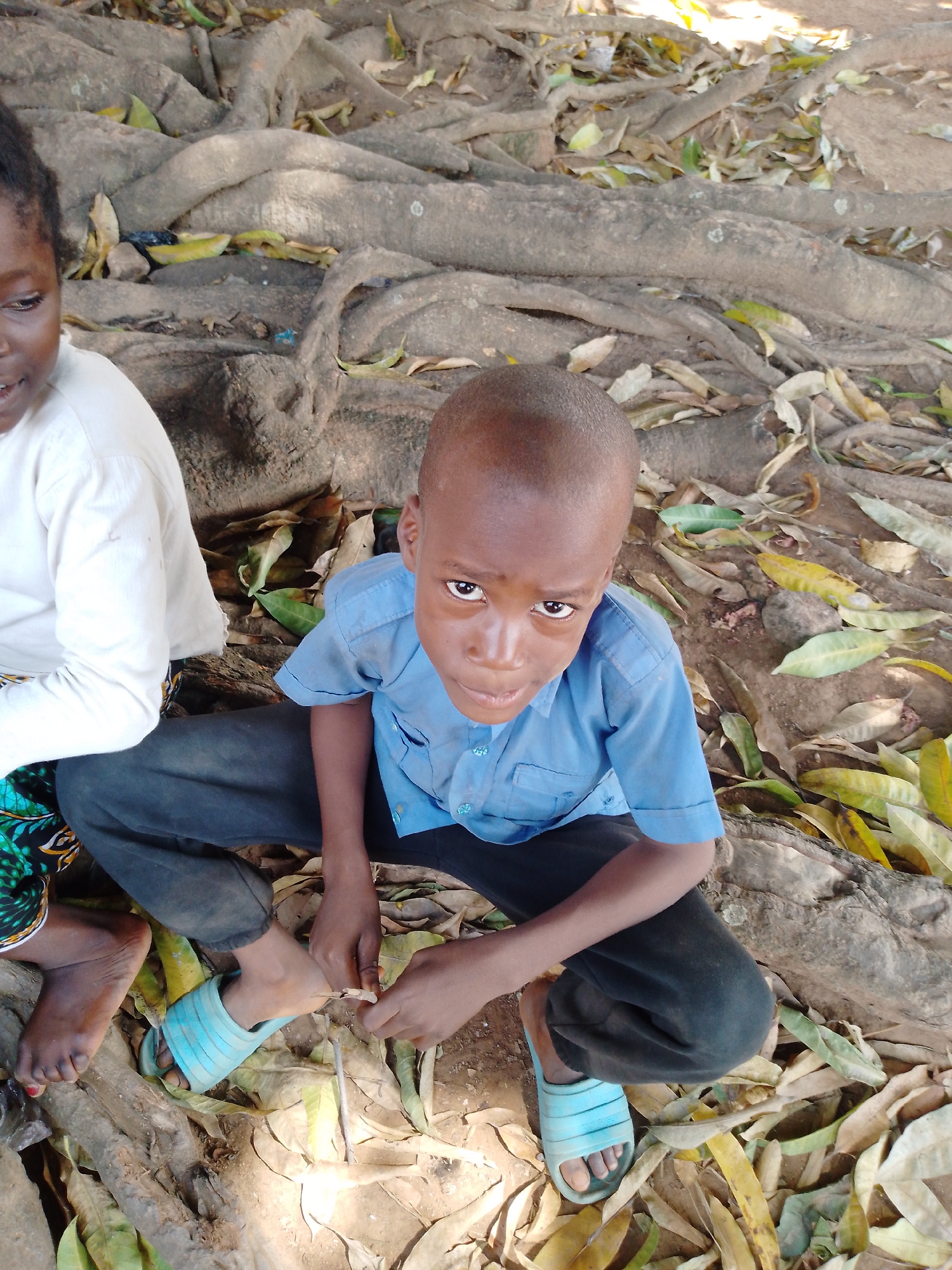 The photo shows two children sitting under a tree in an unspecified urban location. The child in the foreground is a boy with a shaved head, wearing a blue short-sleeved shirt and dark pants. He is looking upwards toward the camera. He is seated on the ground covered with fallen leaves. In his hands, he is holding what appears to be a small stick. He is wearing light blue slide sandals. To the left of the boy is another child, partially visible in the frame. The child is wearing a white shirt and patterned skirt. Only their legs and part of their torso are visible. The background consists of the large, exposed roots of the tree and scattered fallen leaves.