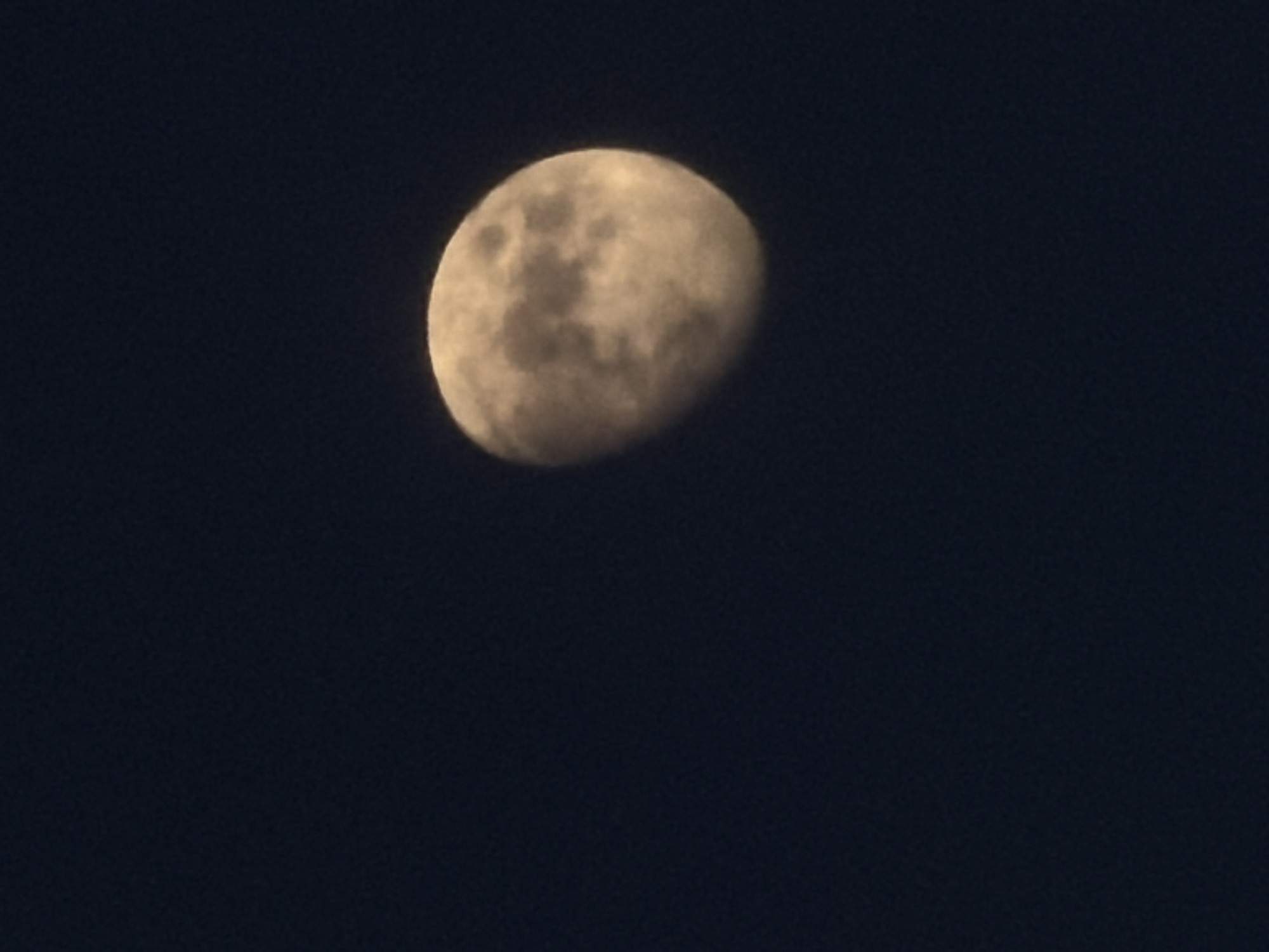 The media file features a close-up image of the Moon against a dark night sky. The Moon is the sole subject, appearing in a prominent gibbous phase, with more than half of its disc illuminated and visible. Its surface displays varied tones of light and shadow, highlighting distinct features such as maria (darker, smoother areas) and brighter, more cratered highlands, although the details are somewhat soft.
The scene depicts the celestial body in a clear, starless night sky, indicating good viewing conditions without clouds. No specific activities or events are taking place beyond the Moon's presence in the sky.
Notable details include the time of day, which is clearly night. The absence of stars suggests a strong light source (the Moon) and potentially some atmospheric haze or light pollution, though the sky itself appears very dark. There are no location cues visible within the image itself to confirm the provided context of Chaikovsky, Russia. No people or other objects are present, and there is no visible text. The overall impression is one of serene astronomical observation.