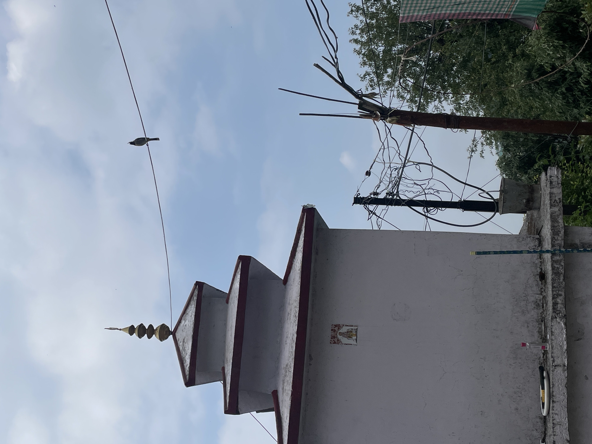 A low-angle, outdoor shot depicts a white temple with red trim in Haini, India, against a cloudy sky. A bird perches on a thin wire spanning the upper left. In the upper right, a utility pole is visible with tangled wires and foliage. The temple features a tiered design and a golden spire. A small religious image is affixed to the temple's side. The pole is rusty and appears to be damaged. Above the pole is a tree or some bushes. A checkered cloth hangs from the utility pole.