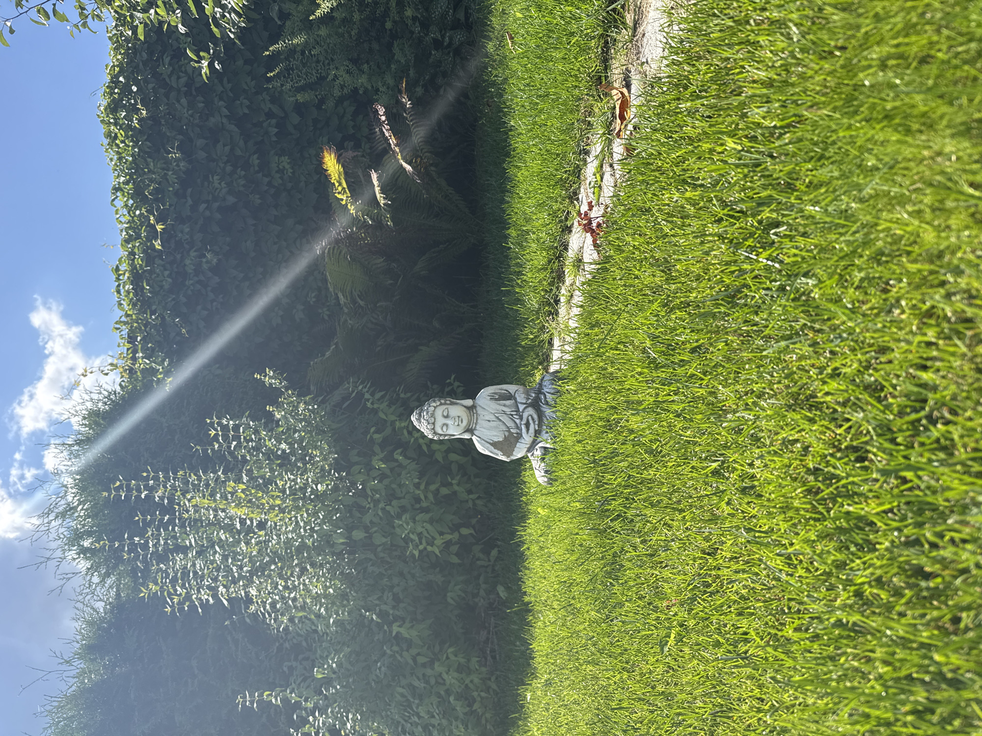 In a sun-drenched garden, a stone statue of Buddha sits serenely on vibrant green grass. The statue is positioned centrally in the frame, facing forward with its eyes closed in meditation. Behind the statue, a dense, lush hedge forms a verdant backdrop, its leaves catching the sunlight and creating dappled patterns. The garden appears well-maintained, with short, neatly trimmed grass. A narrow stone path is visible in the lower right quadrant, partially obscured by the grass. The sky above is a clear blue, punctuated by a few wispy white clouds. Beams of sunlight pierce through the foliage, creating a dramatic effect and illuminating the scene. The overall impression is one of tranquility and natural beauty. There is no indication of a specific location in Oliki, Russia.