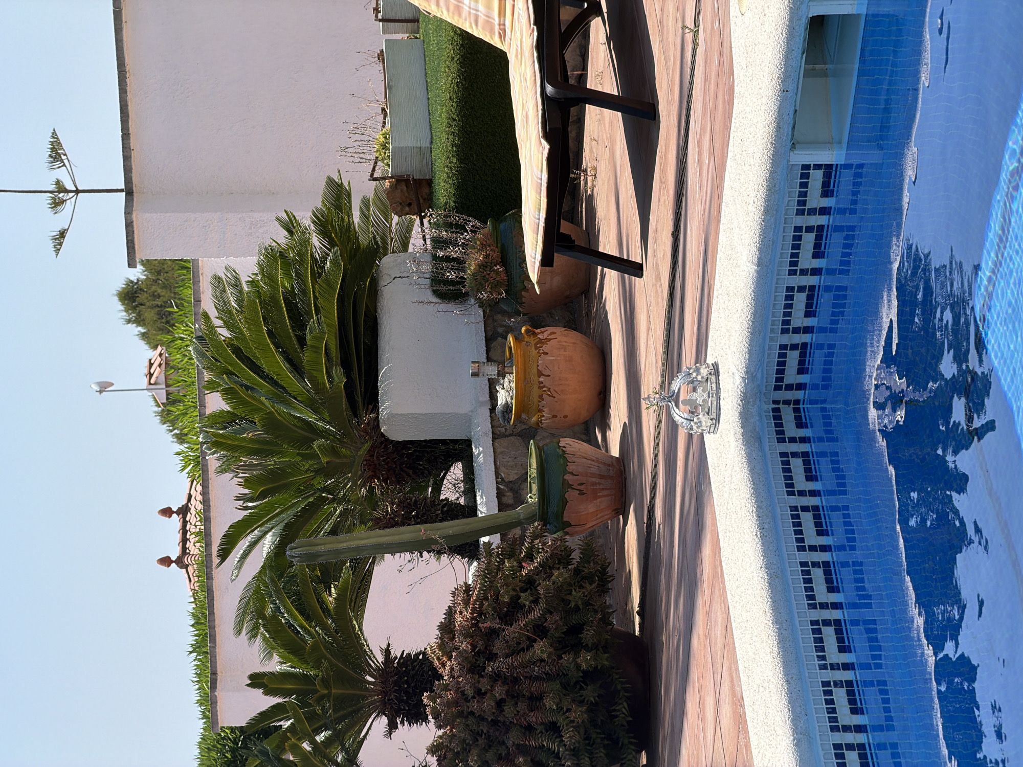 The scene captures a residential area in Mont-roig del Camp, Spain, next to a swimming pool. The pool edge is tiled in blue and white mosaics. Adjoining the pool area, the tiled patio features various potted plants including palm trees, succulents, and cacti. Additionally, there's outdoor furniture present, including a chair with a striped cushion. Beyond the patio, a white wall is visible, along with greenery and additional trees. The sky is clear and blue, indicating a sunny day.