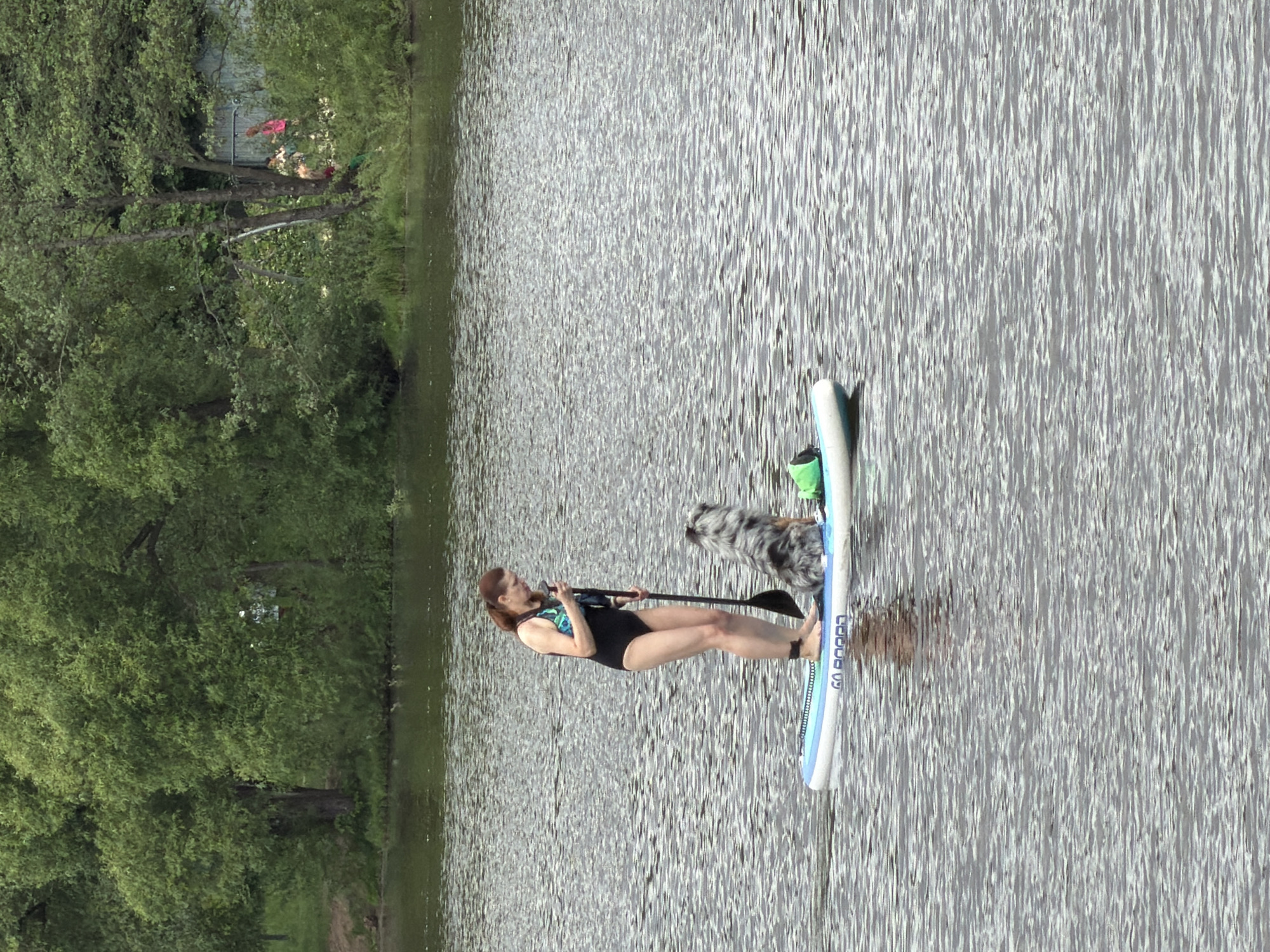 A woman and a dog are on a stand-up paddleboard in a body of water near Malakhovka, Russia. The woman is standing in the middle of the paddleboard, paddling with a paddle. The dog is standing near the front of the paddleboard. The body of water is surrounded by trees.