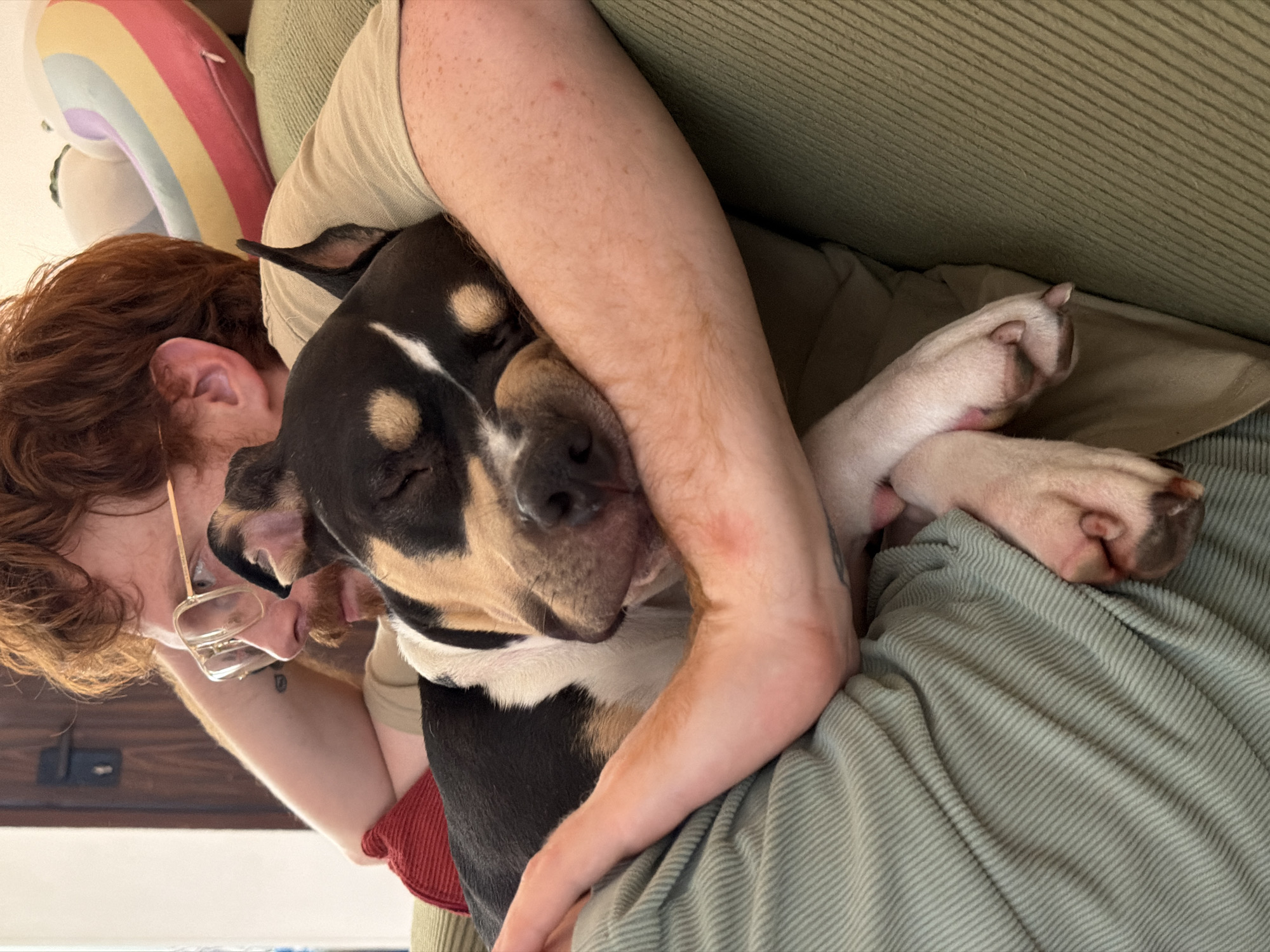 A person with red hair and glasses is seated on a green upholstered couch and embracing a sleeping dog. The dog has a black and tan coat, with white markings on its face. The person's arms are wrapped around the dog, and the dog's paws are visible. A rainbow pillow is partially visible behind the person's head. The location is not identifiable as Tel-Aviv, Israel based on the provided image.
