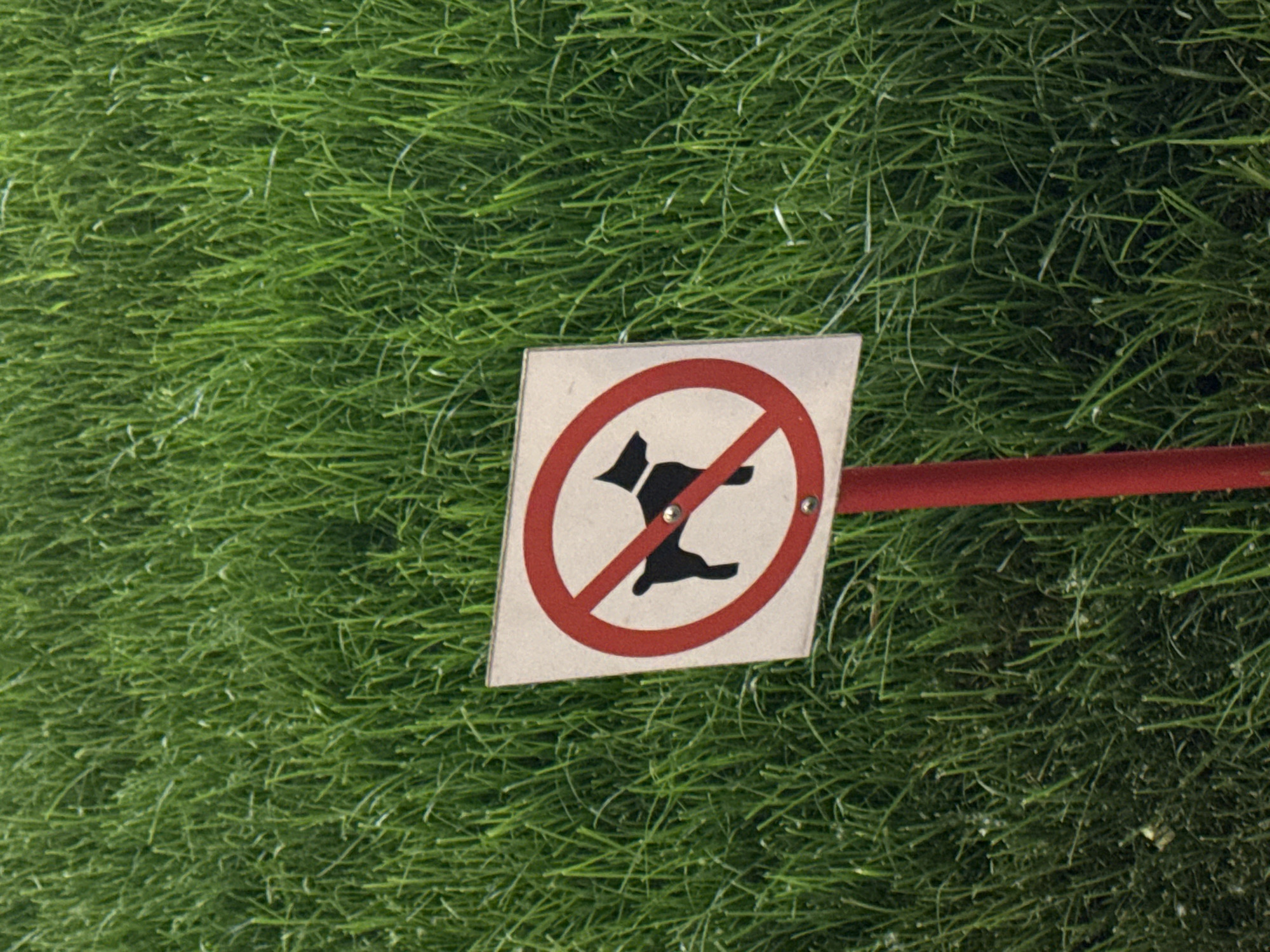 A square sign with a white background and a red border is mounted on a red pole. The sign depicts a black silhouette of a dog within a red circle with a diagonal line through it, indicating "no dogs allowed." The sign is placed in a grassy area. The background is entirely filled with lush green grass. No people are present in the image. The location is not specified as Moscow, Russia.