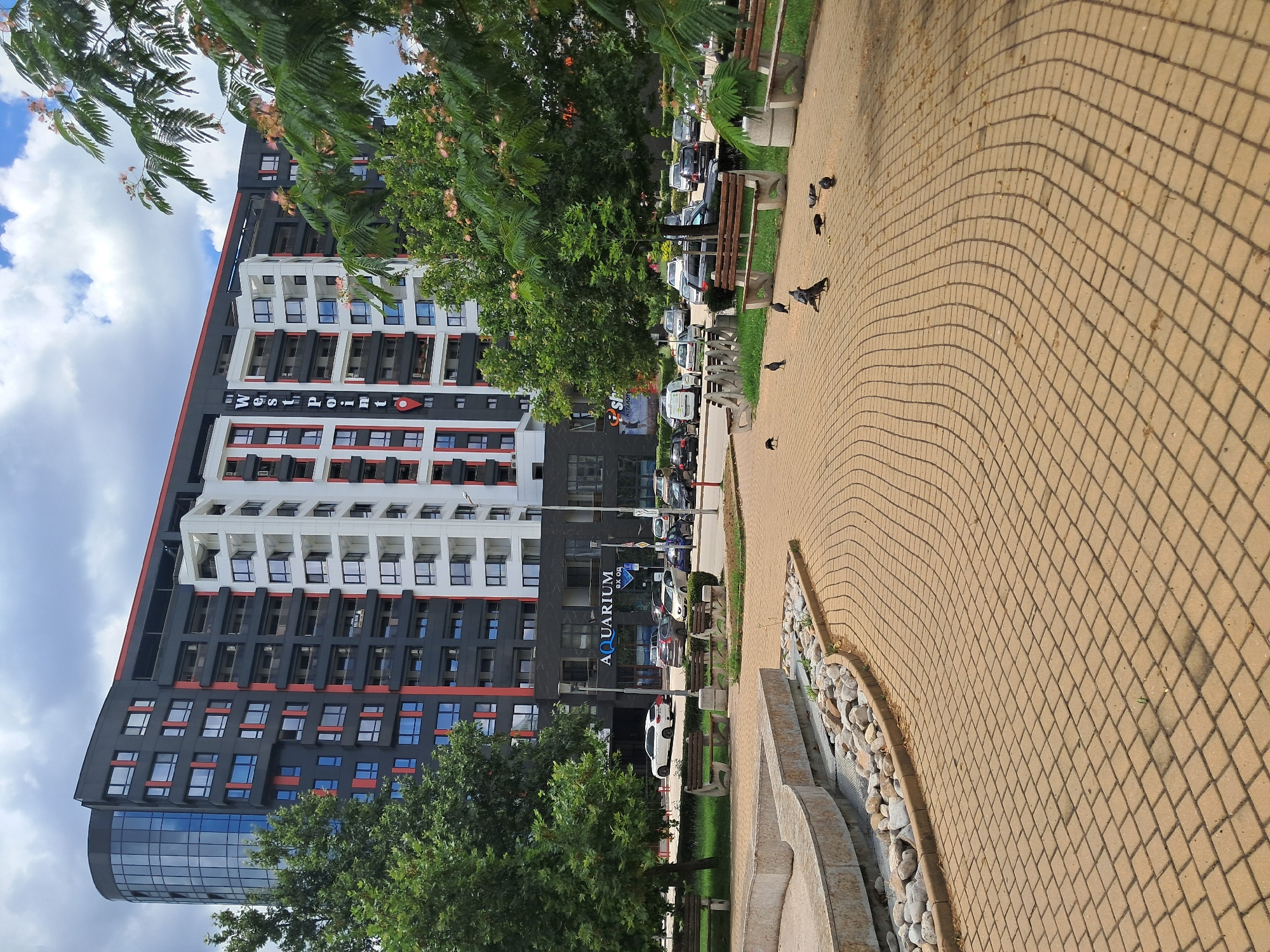 The image depicts the "West Point" building complex in Plovdiv, Bulgaria, seen from a paved courtyard with benches and trees. The modern architectural design of the building features a dark facade with red accents and a curved glass section on the left, contrasted with a white central section. A sign for "AQUARIUM" is visible on a dark, lower level of the building. The courtyard is paved with yellow square tiles that create a wave-like pattern, and several pigeons are scattered across the ground. Lush green trees frame the scene, and parked cars are visible on the street in front of the building. The sky is partly cloudy.