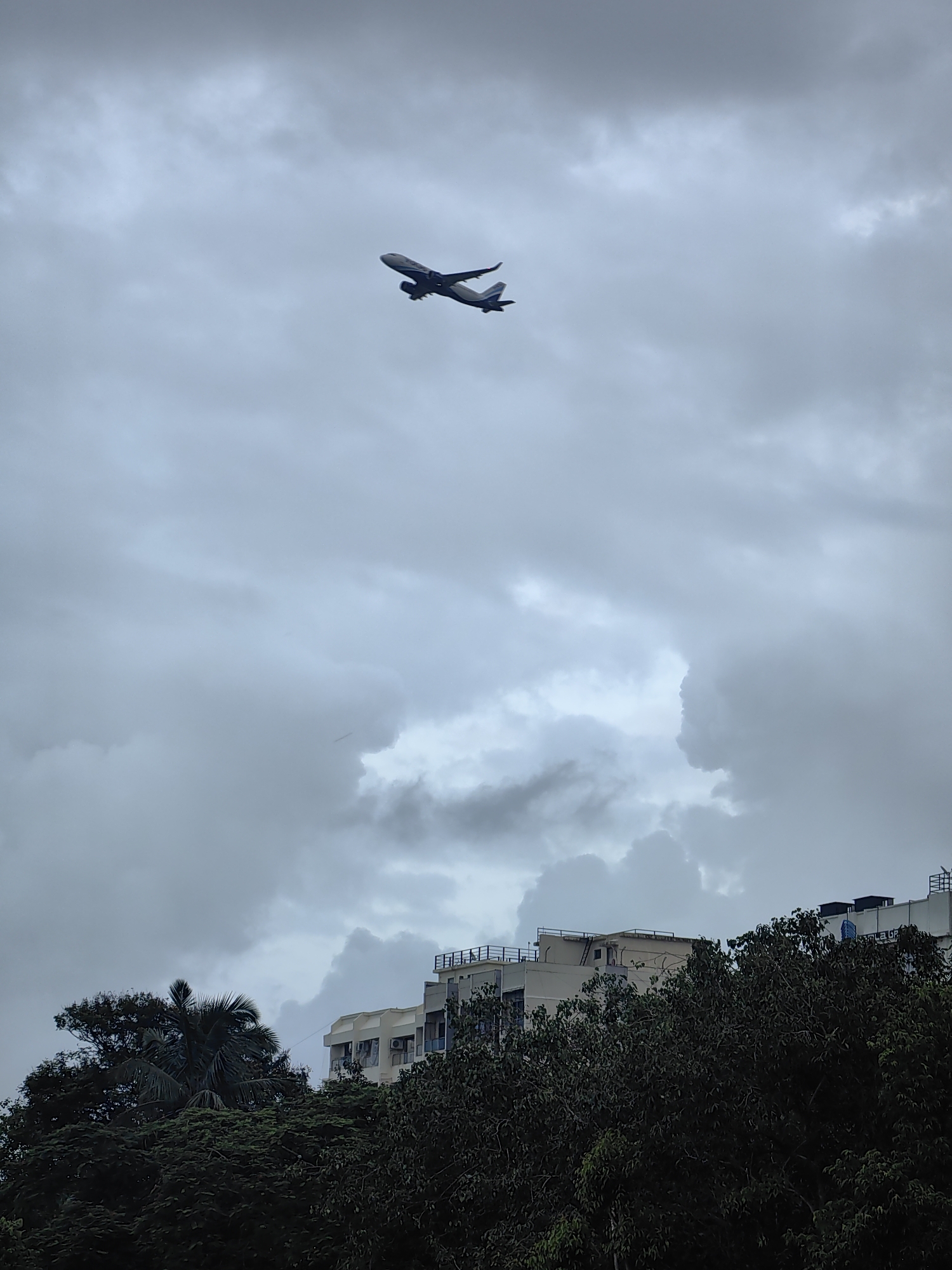 An airplane is seen flying in a cloudy sky over a cityscape in Mumbai, India. The airplane, depicted as a silhouette against the overcast sky, is captured in mid-flight, angled slightly upwards. Below the plane, the tops of several buildings are visible, peeking through a dense canopy of dark green trees. One building, in particular, appears to be a multi-story structure with visible windows and balconies. The sky is dominated by grey, cumulus clouds, suggesting a possibly overcast or rainy day. The foreground is mostly obscured by the dark foliage of trees, with a palm tree also discernible among the greenery.