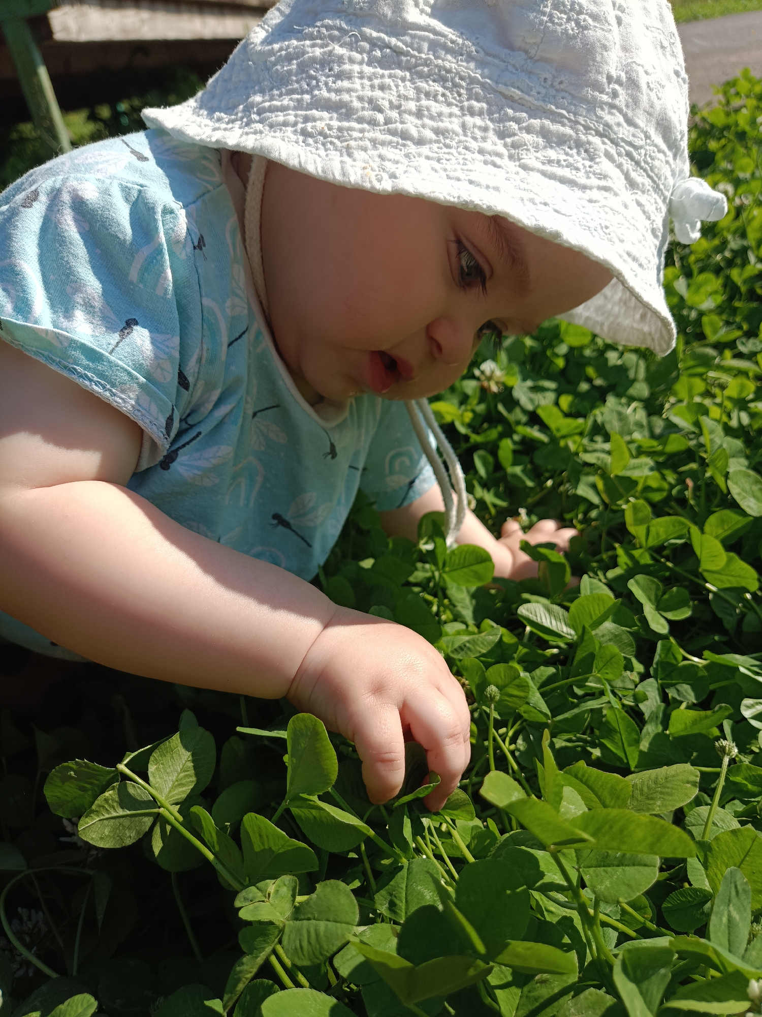 In the city of Sergiyev Posad, Russia, a close-up shot captures a baby, wearing a white sun hat and a light blue shirt with a dragonfly pattern, as they reach into a patch of green clover. The baby is positioned on their stomach, exploring the vegetation with their right hand. The sunlight casts shadows on the scene, highlighting the texture of the hat and the baby's skin. The background is blurred, suggesting an outdoor setting with hints of wooden structures and greenery.